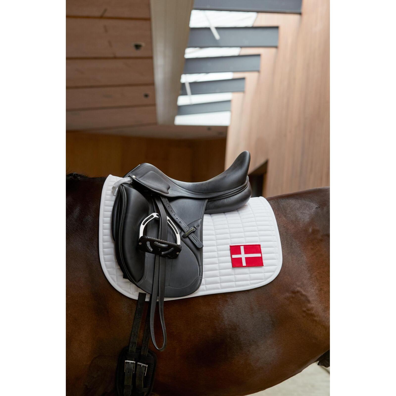 product/h/o/horseguard_504830608_hvid_3.jpg
