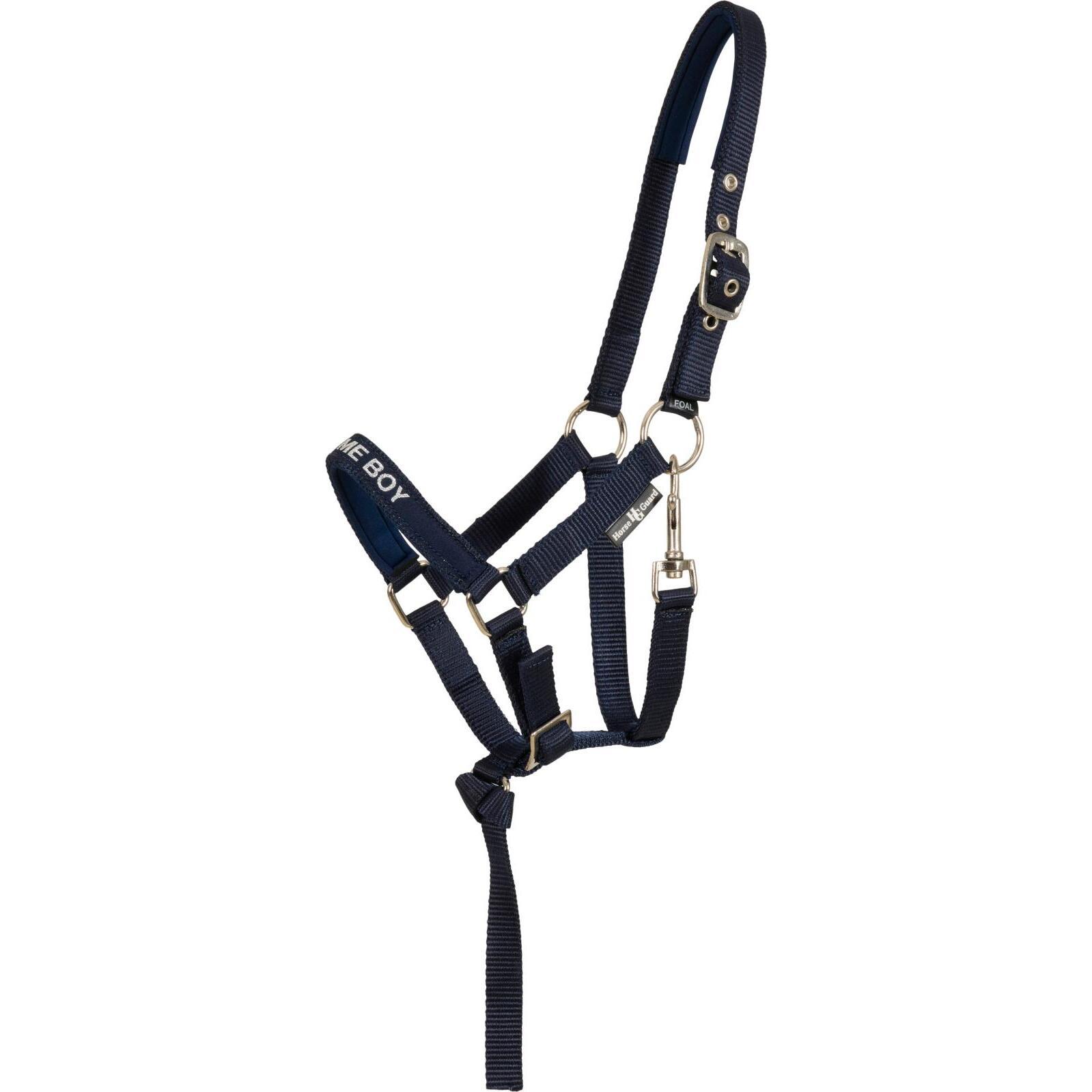 product/h/o/horseguard_504980514_bleu_1.jpg