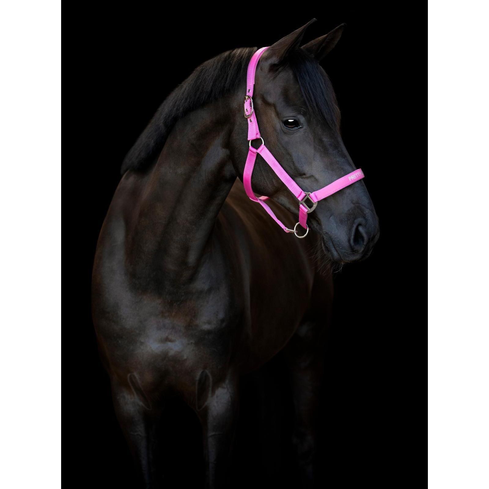 product/h/o/horseguard_50499020102_phlox-pink_1.jpg