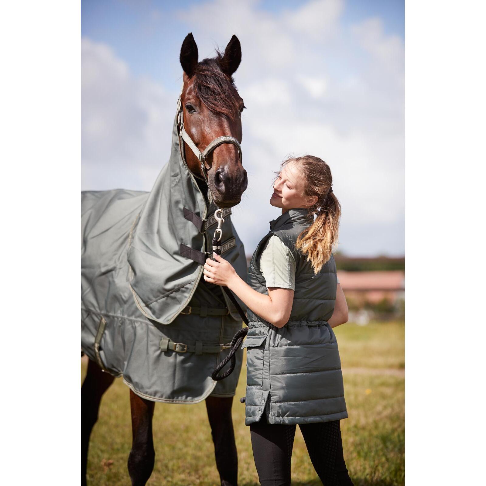 product/h/o/horseguard_504993025_forest_6.jpg