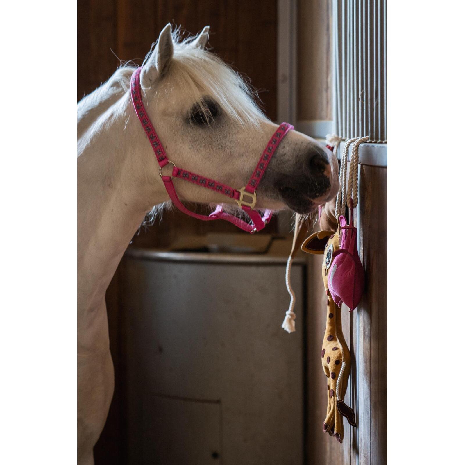 product/h/o/horseguard_50613010102_phlox-pink_3.jpg