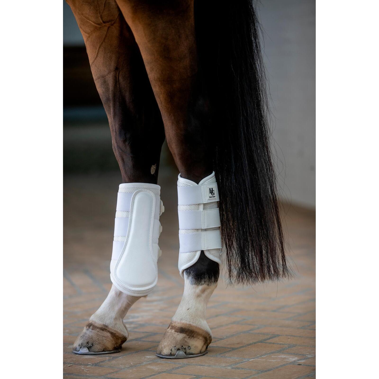 product/h/o/horseguard_506142008_white_3.jpg