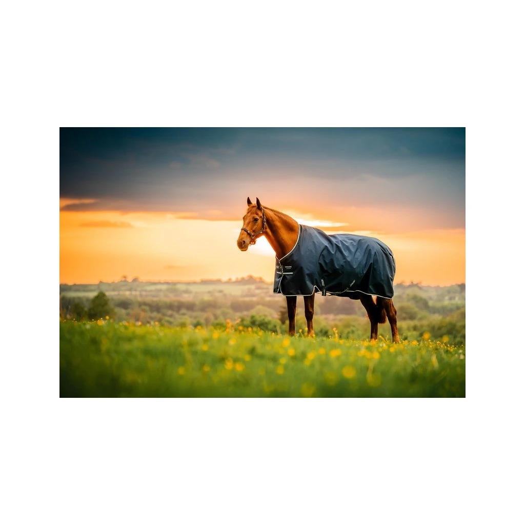 product/h/o/horseware_aarag4-vrkb-66_witney-navy_2.jpg