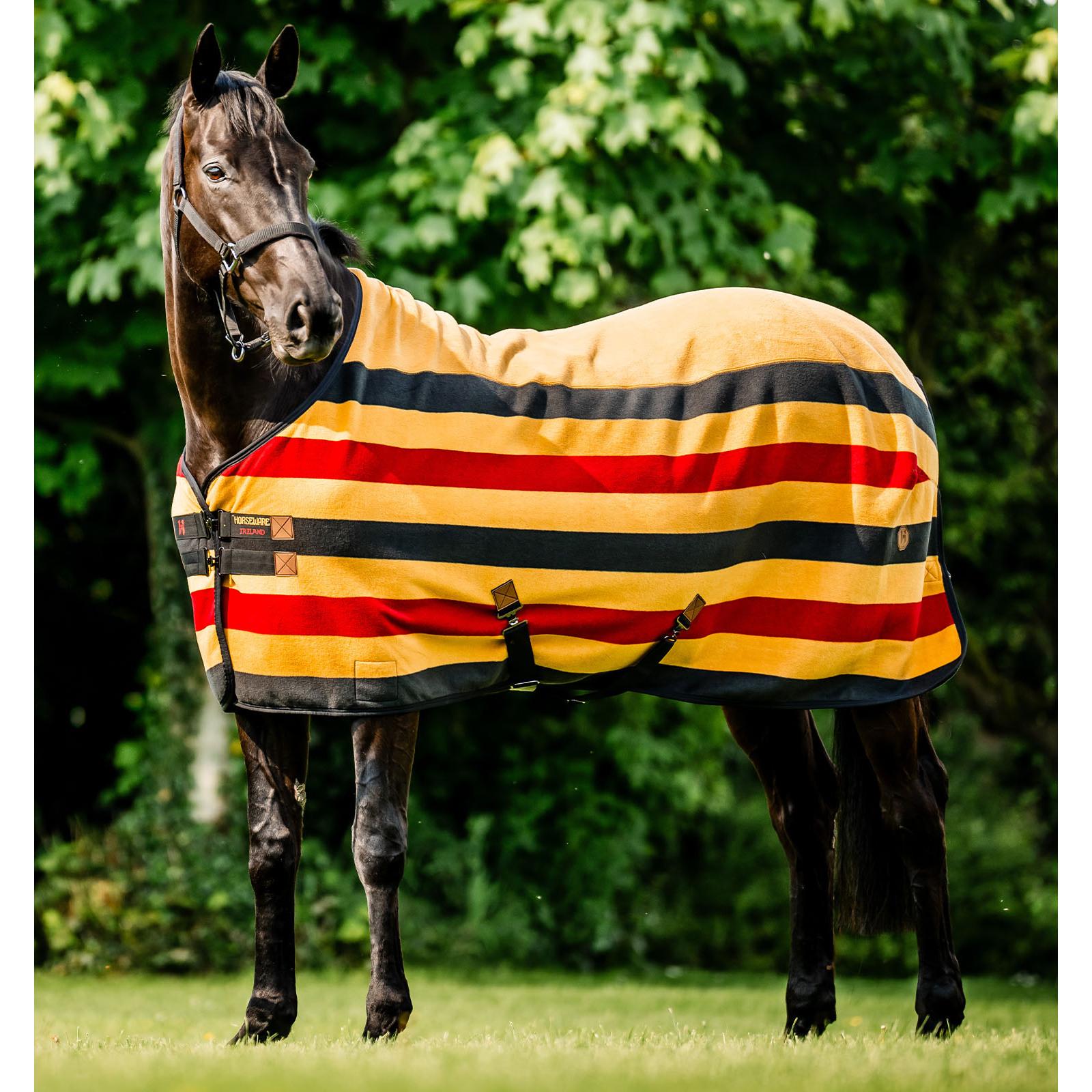product/h/o/horseware_achfbn-vrk0-66_witney-gold_3.jpg