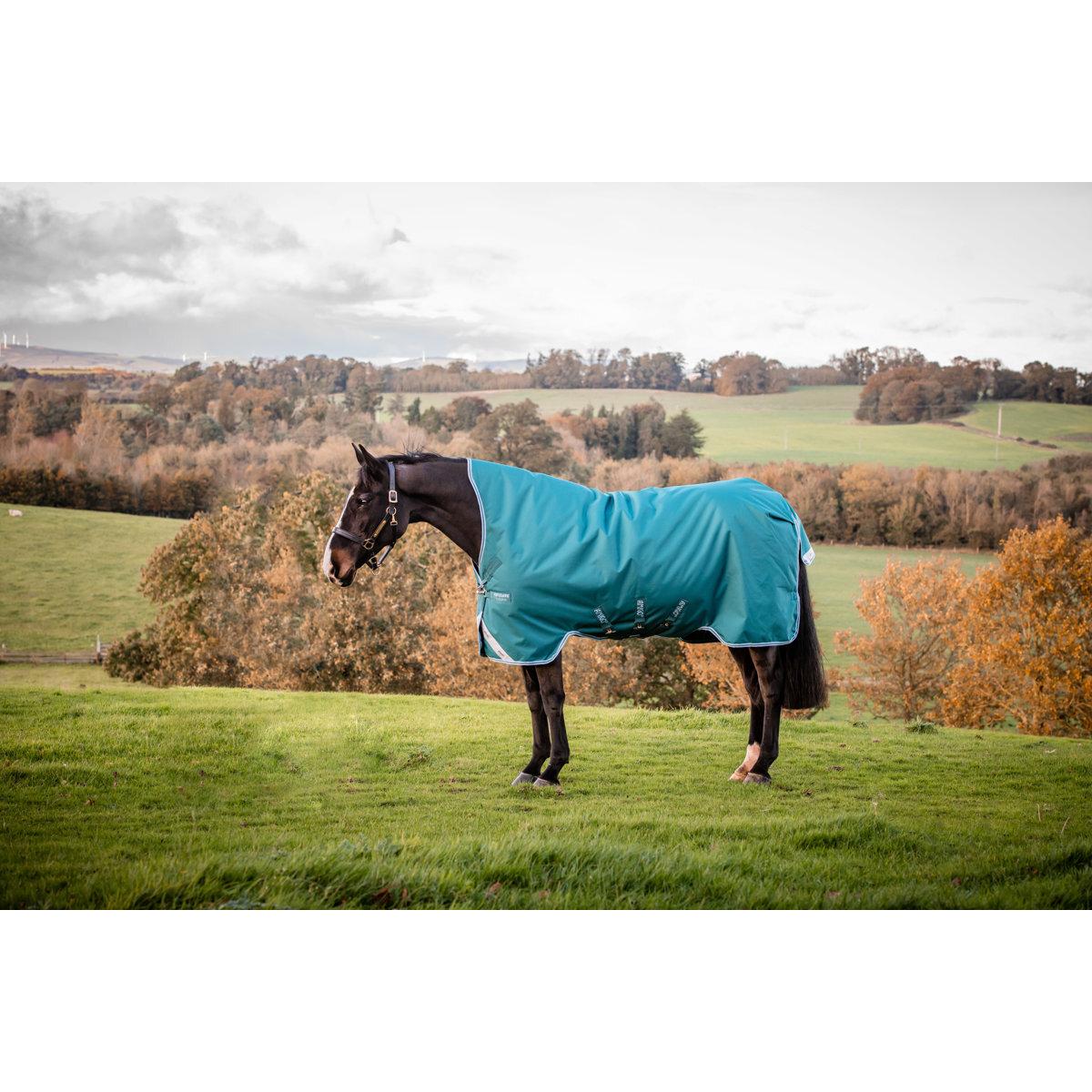 product/h/o/horseware_hwaarw71grtu56_green-turquoise_1.jpg