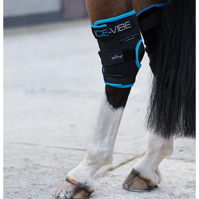 product/h/o/horseware_hwdbhk.jpg