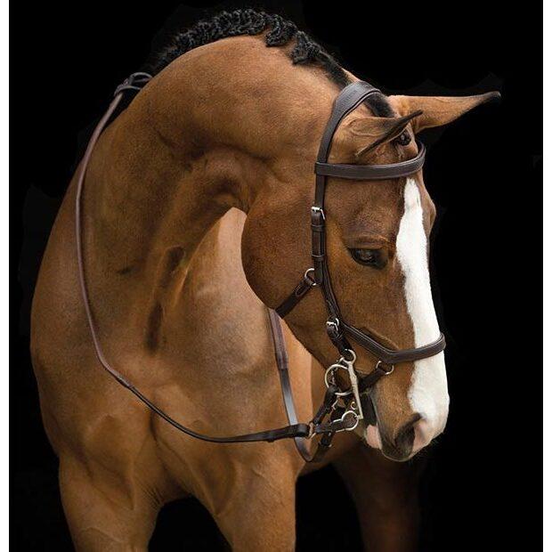 product/h/o/horseware_hwdhal8dbr.jpg
