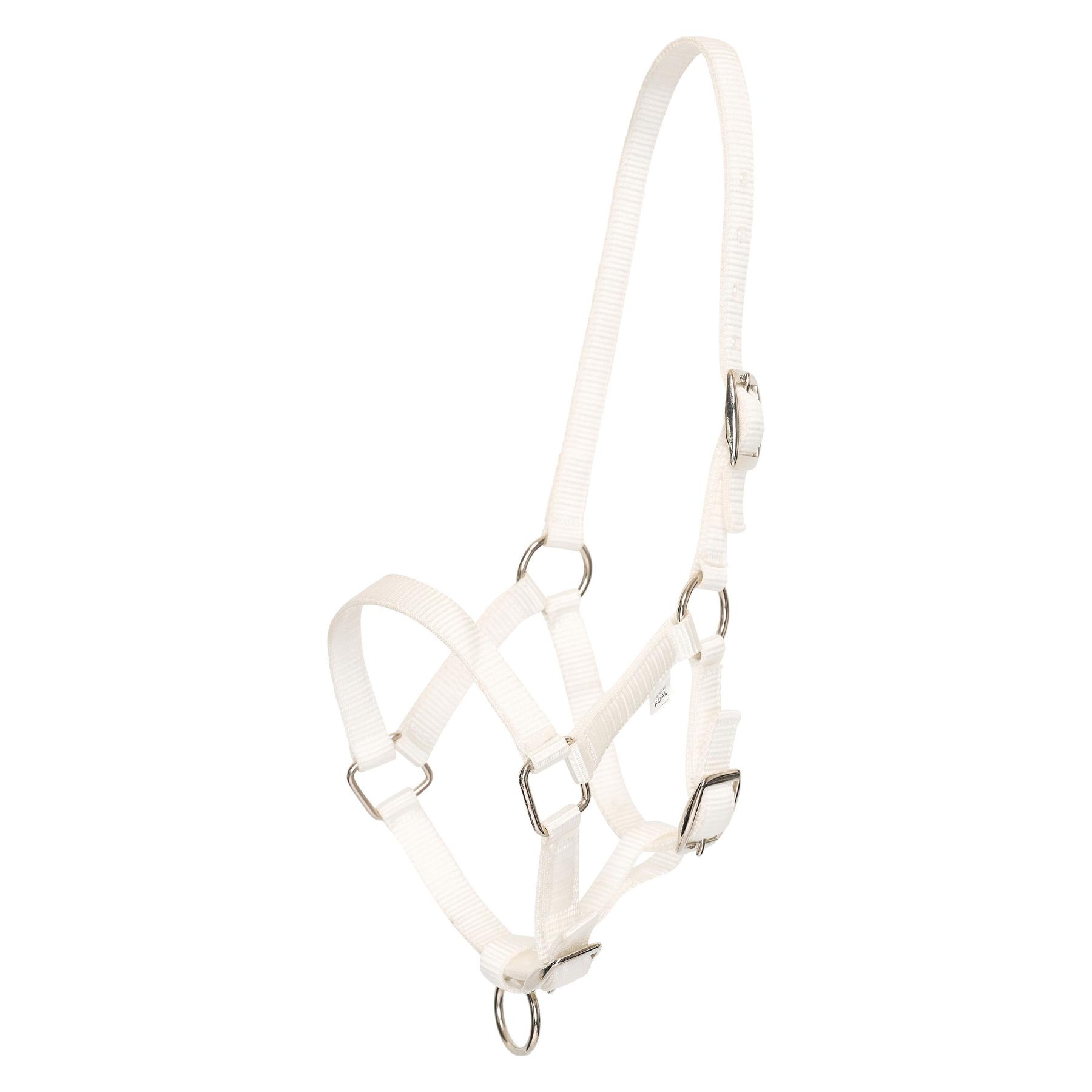 product/h/v/hv-polo_1601093700-0001_white_1.jpg
