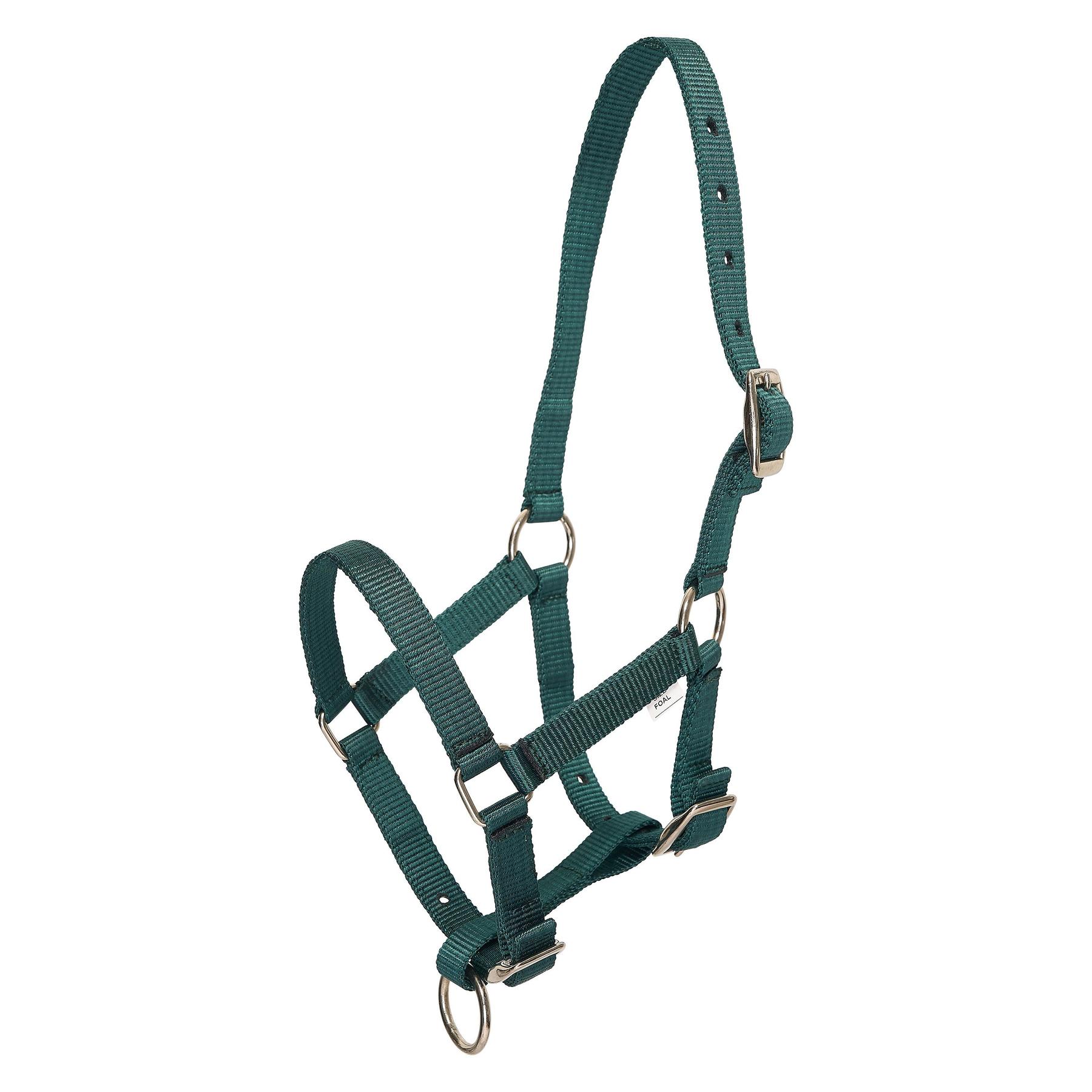 product/h/v/hv-polo_1601093700-6130_duck-green_1.jpg