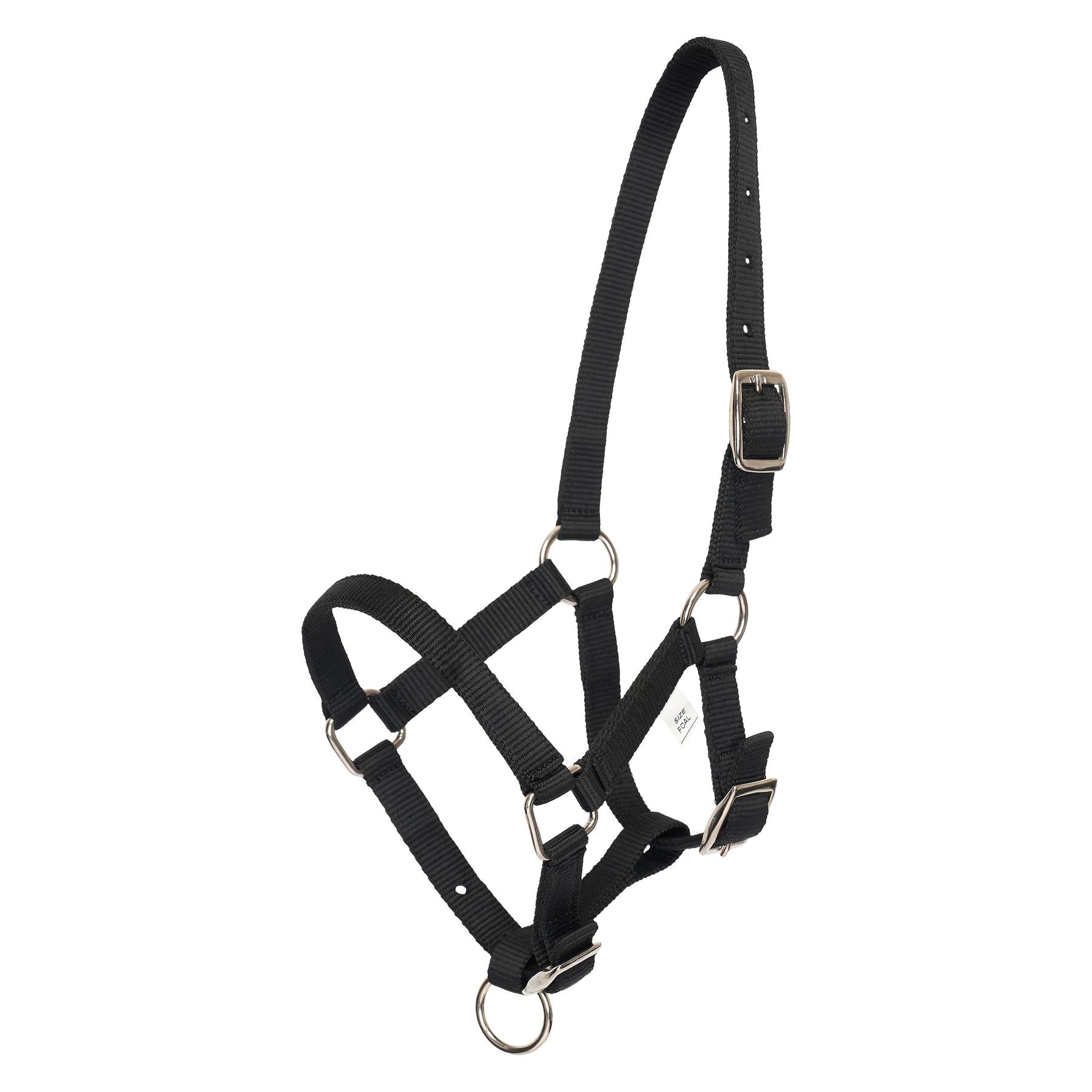 product/h/v/hv-polo_1601093700-9000_black_1.jpg