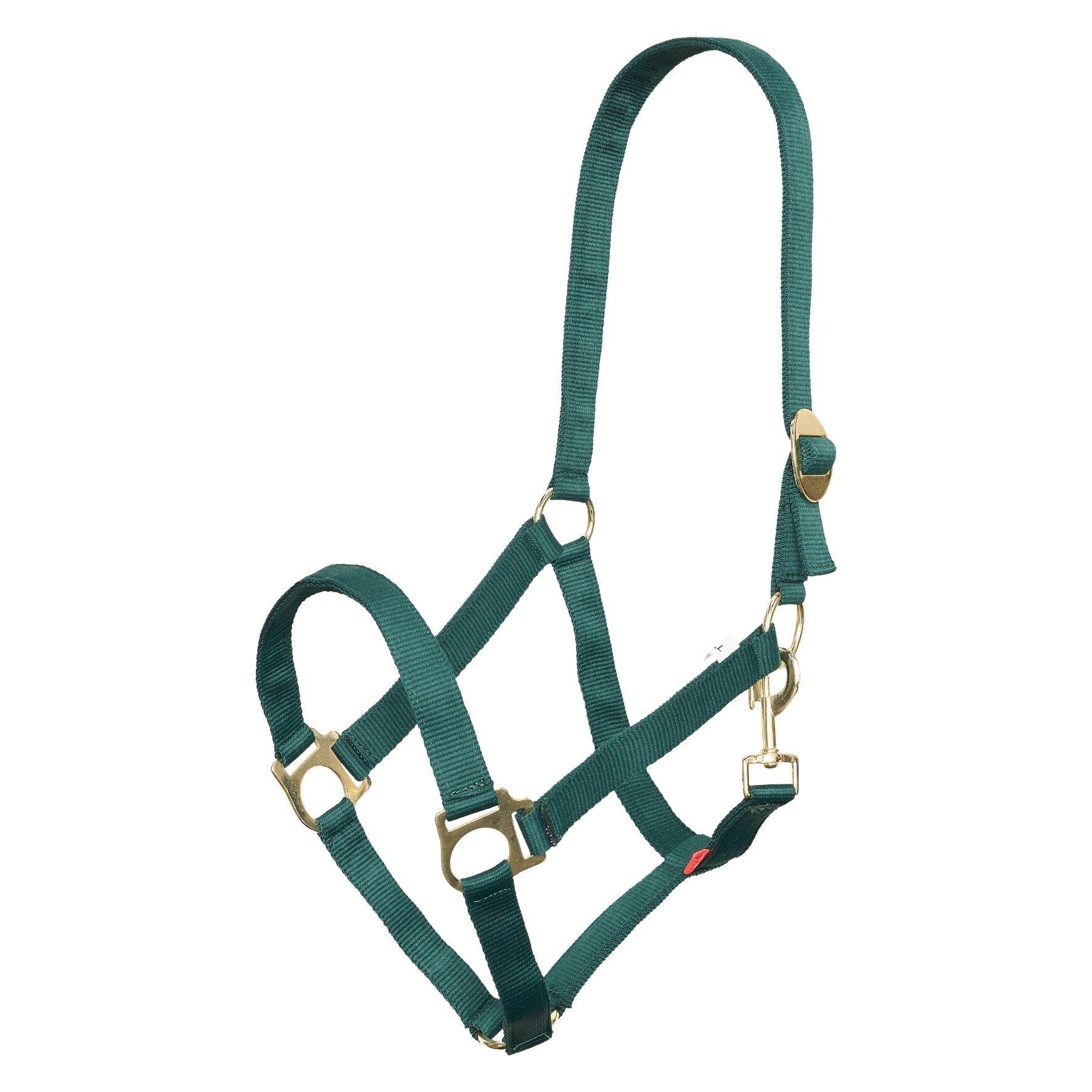 product/i/m/imperial-riding_1601000060-6080_forest-green_1.jpg