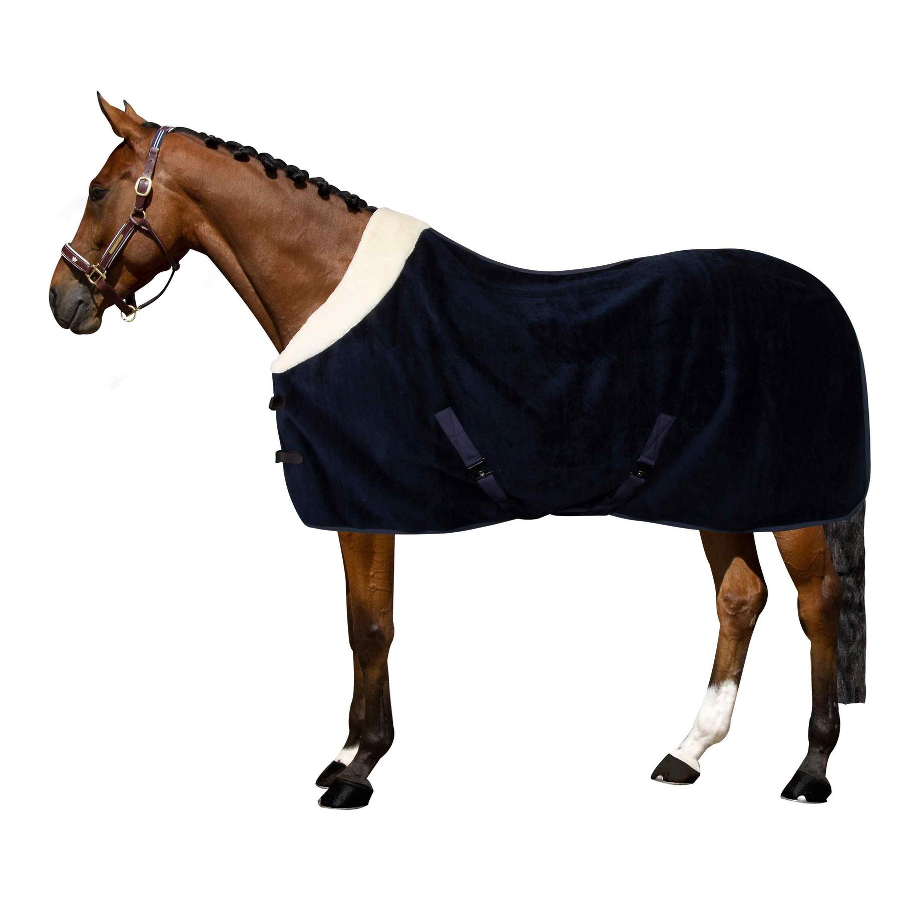 product/i/m/imperial-riding_de40322003-5001_0.jpg