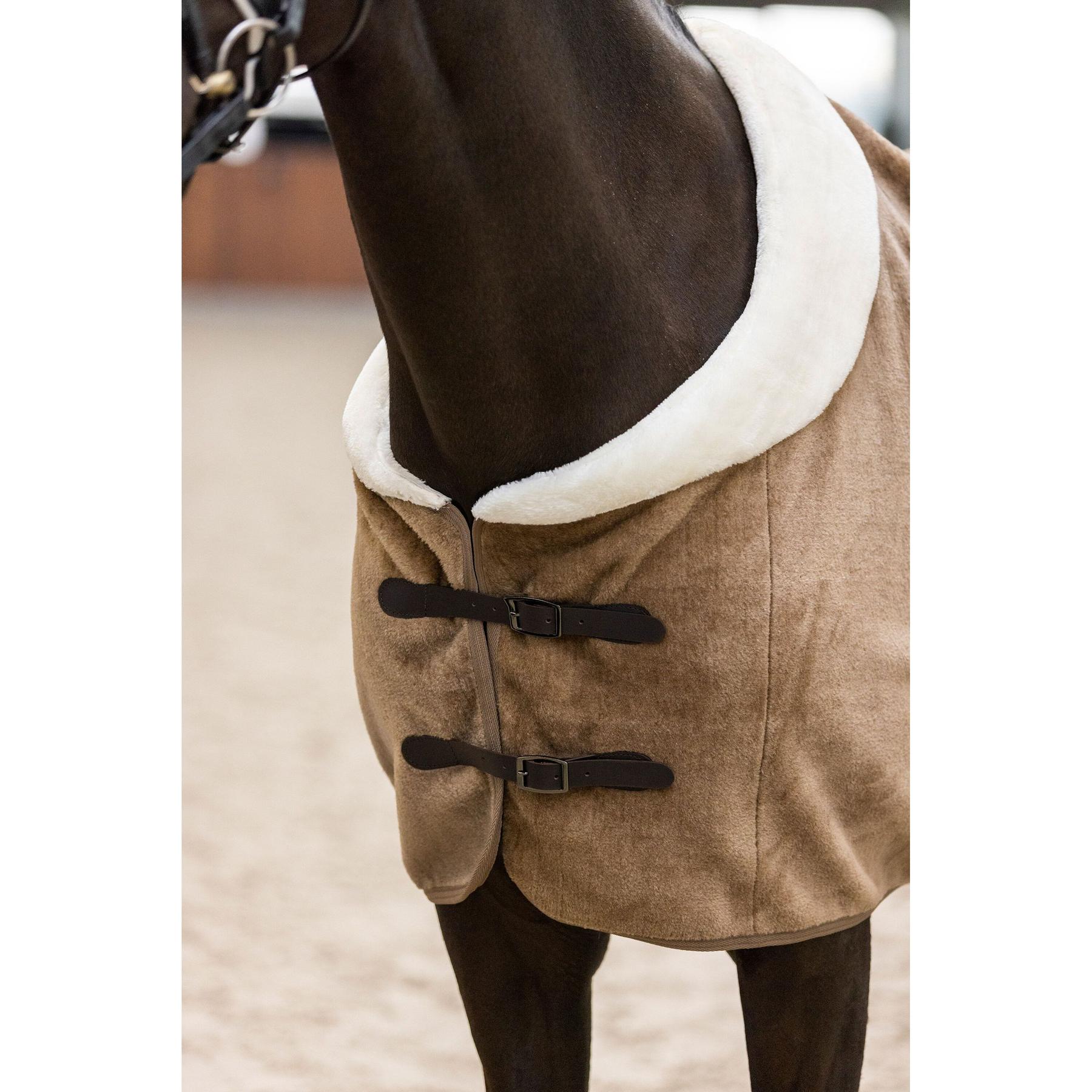 product/i/m/imperial-riding_de40322003-8043_2.jpg
