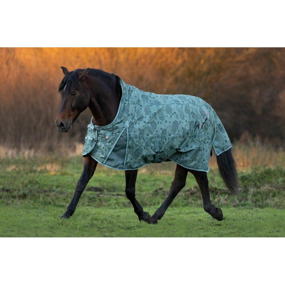 product/i/m/imperial-riding_de50322004-6036_sage-green_2.jpg