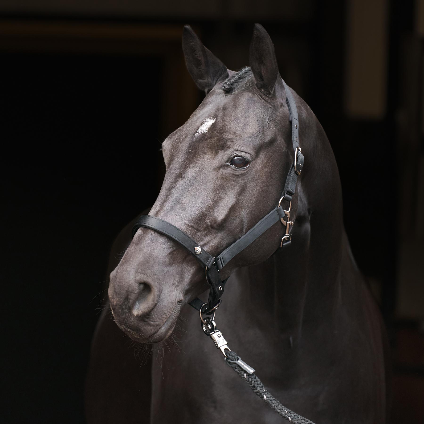 product/i/m/imperial-riding_ha40125002-9000_black_2.jpg