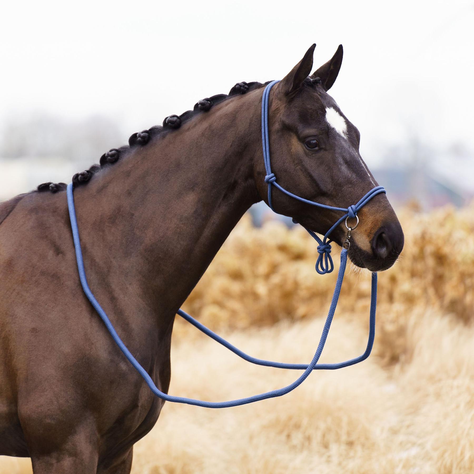 product/i/m/imperial-riding_ha40322001-5196_sapphire_2.jpg
