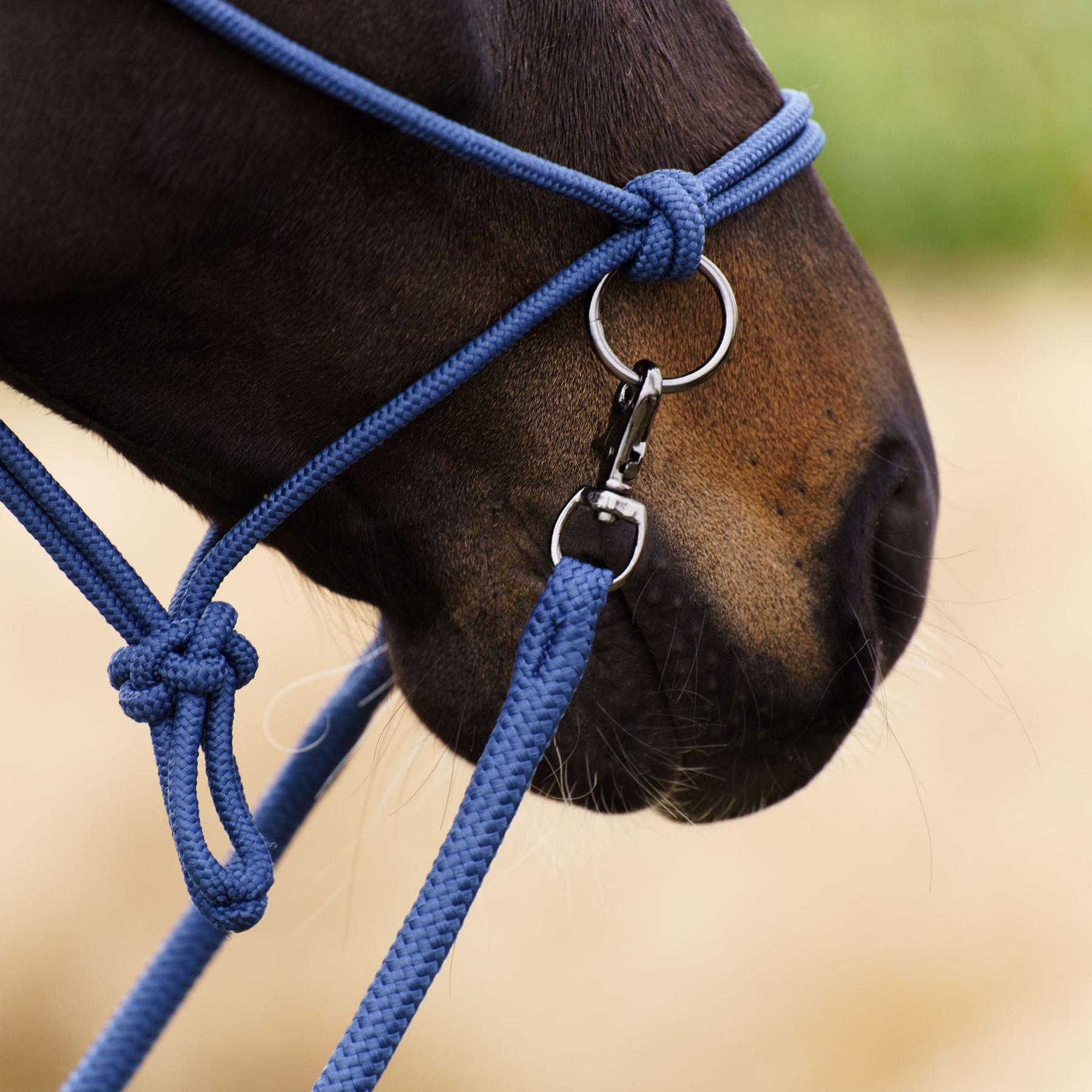 product/i/m/imperial-riding_ha40322001-5196_sapphire_3.jpg