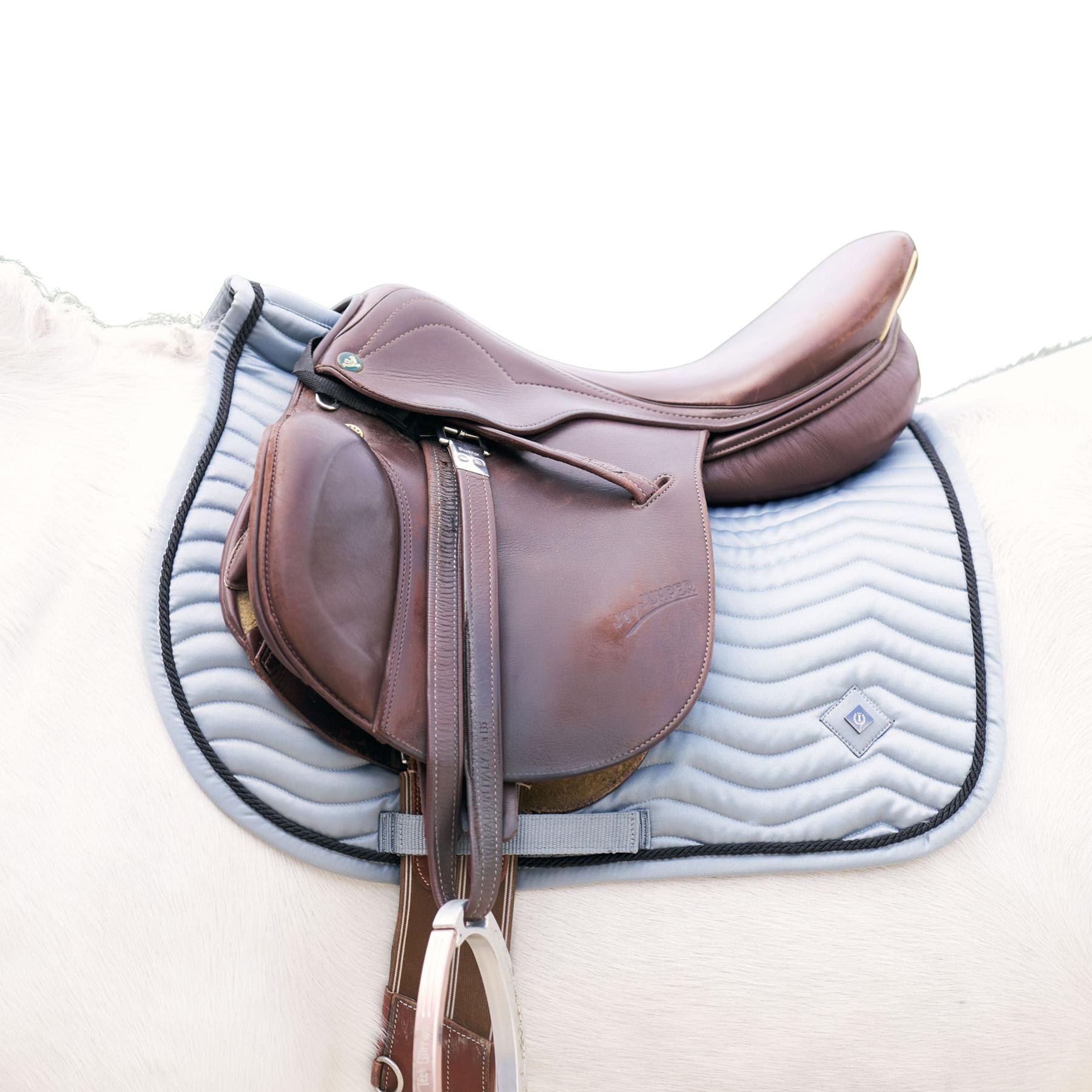 product/i/m/imperial-riding_zt73125001-5297_moonstone_1.jpg