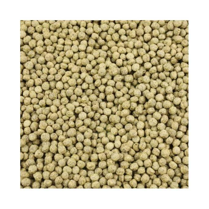 product/j/b/jbl_jb041223_beige_1.jpg
