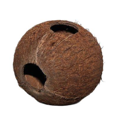 product/j/b/jbl_jb210_marron_1.jpg