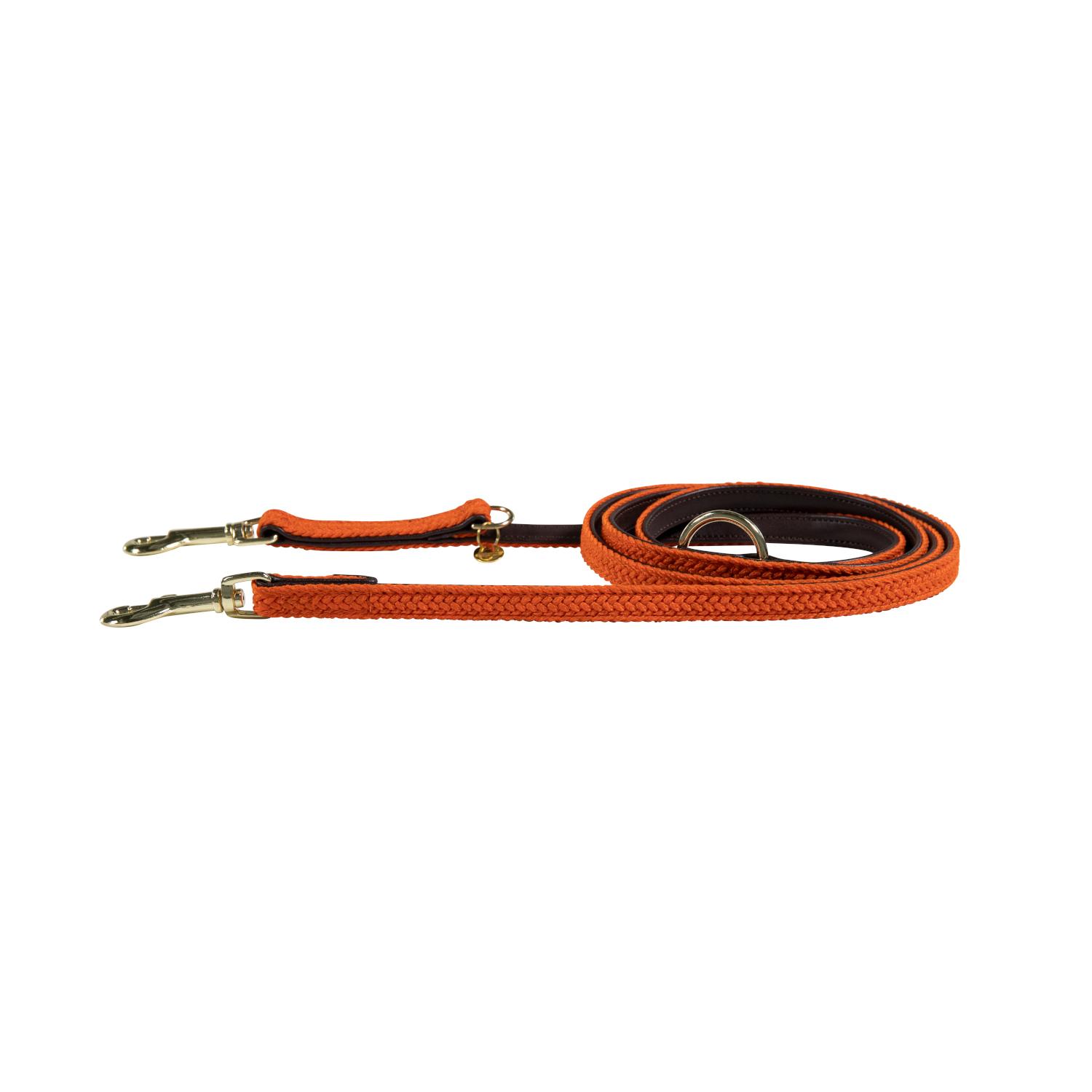 product/k/e/kentucky-dogwear_42519-45-120_orange_1.jpg