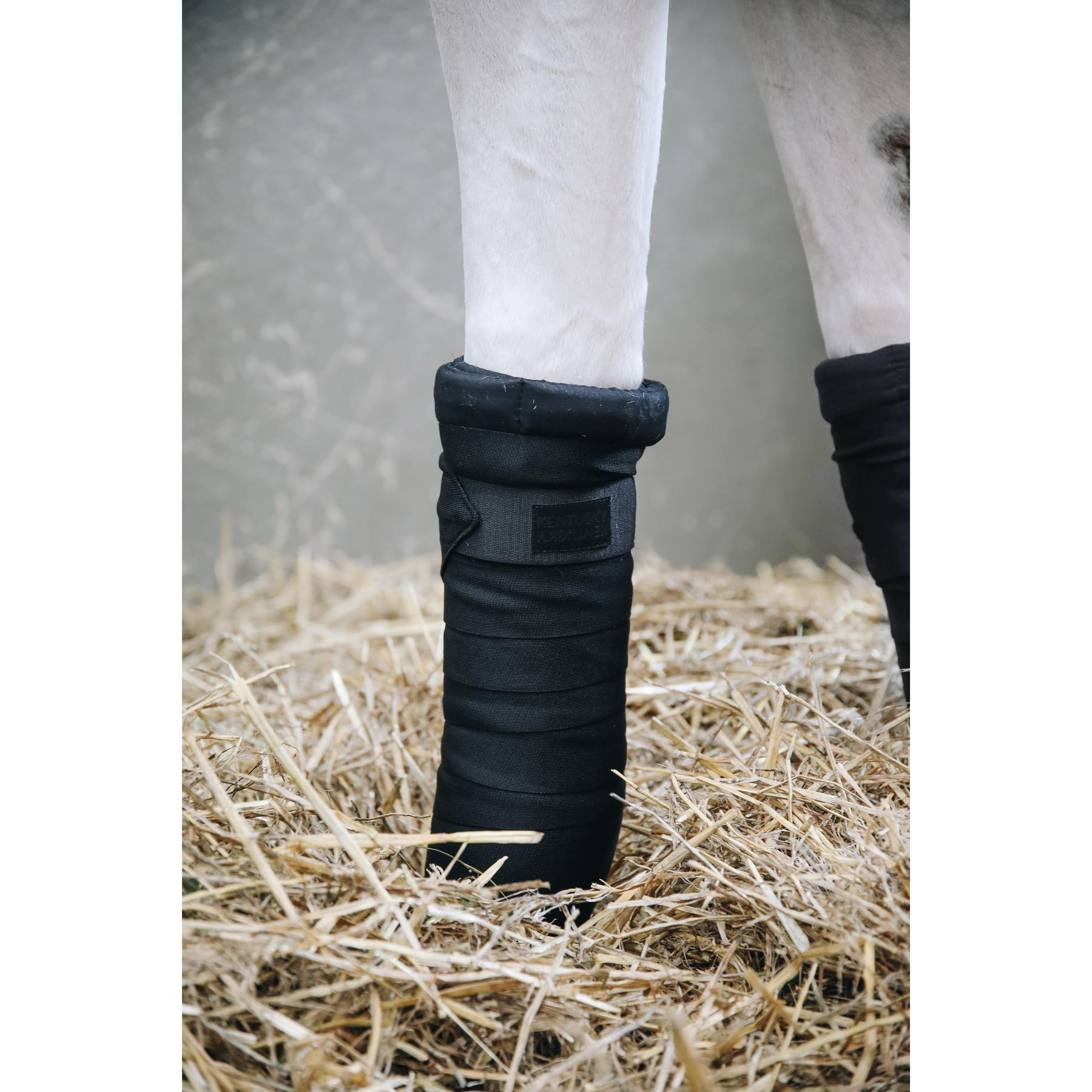 product/k/e/kentucky_42109-01-f_2.jpg