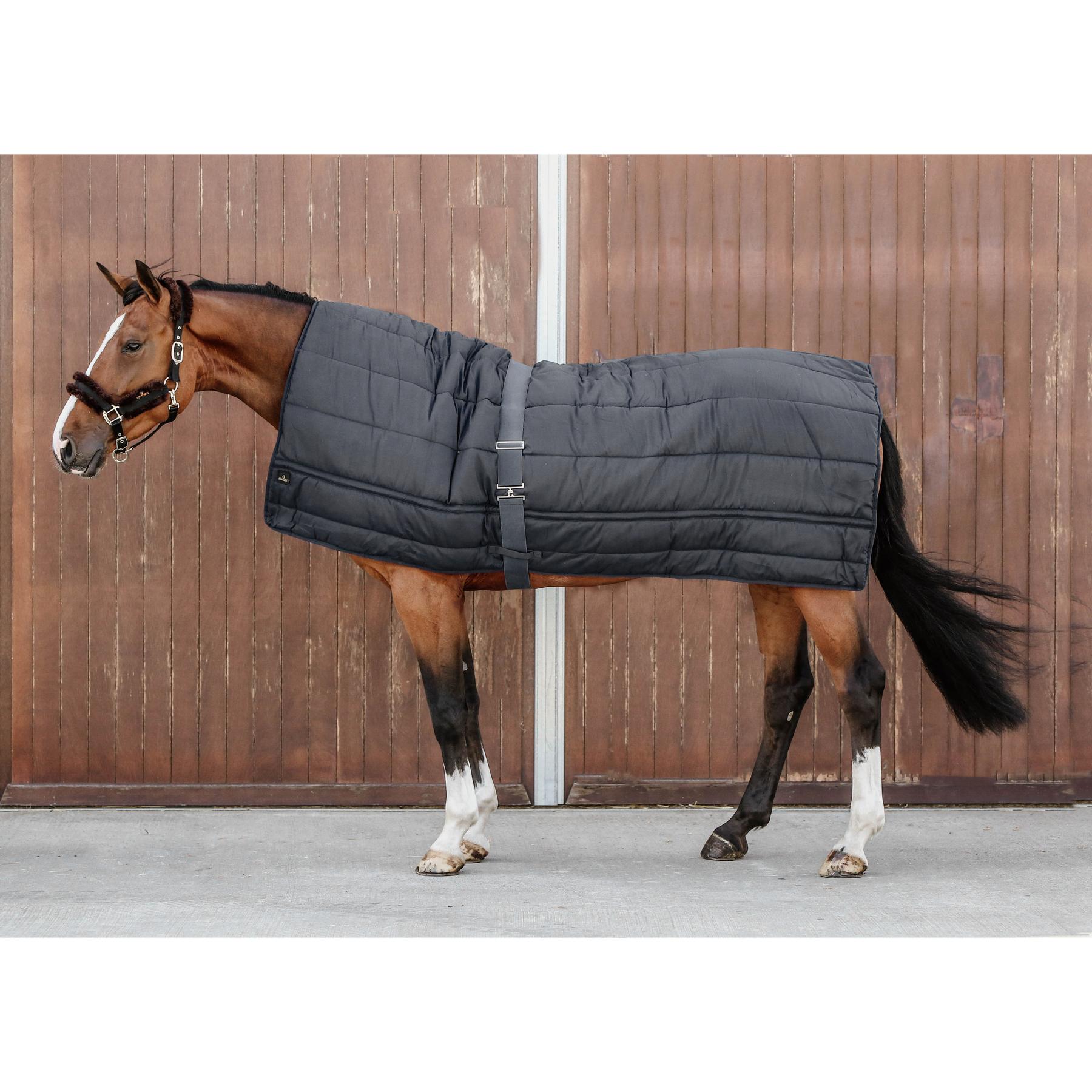 product/k/e/kentucky_42144-01-f_2.jpg