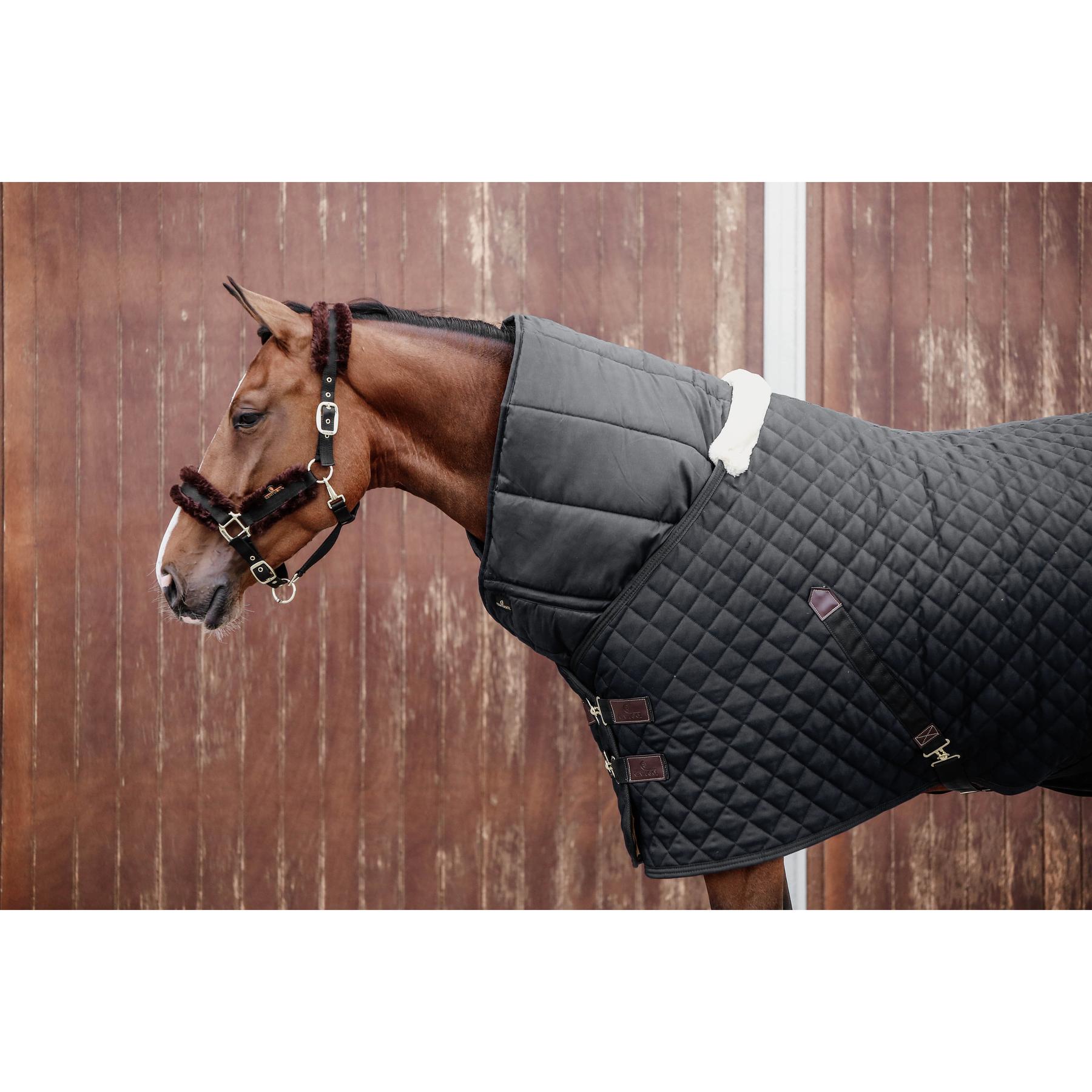 product/k/e/kentucky_42144-01-f_3.jpg