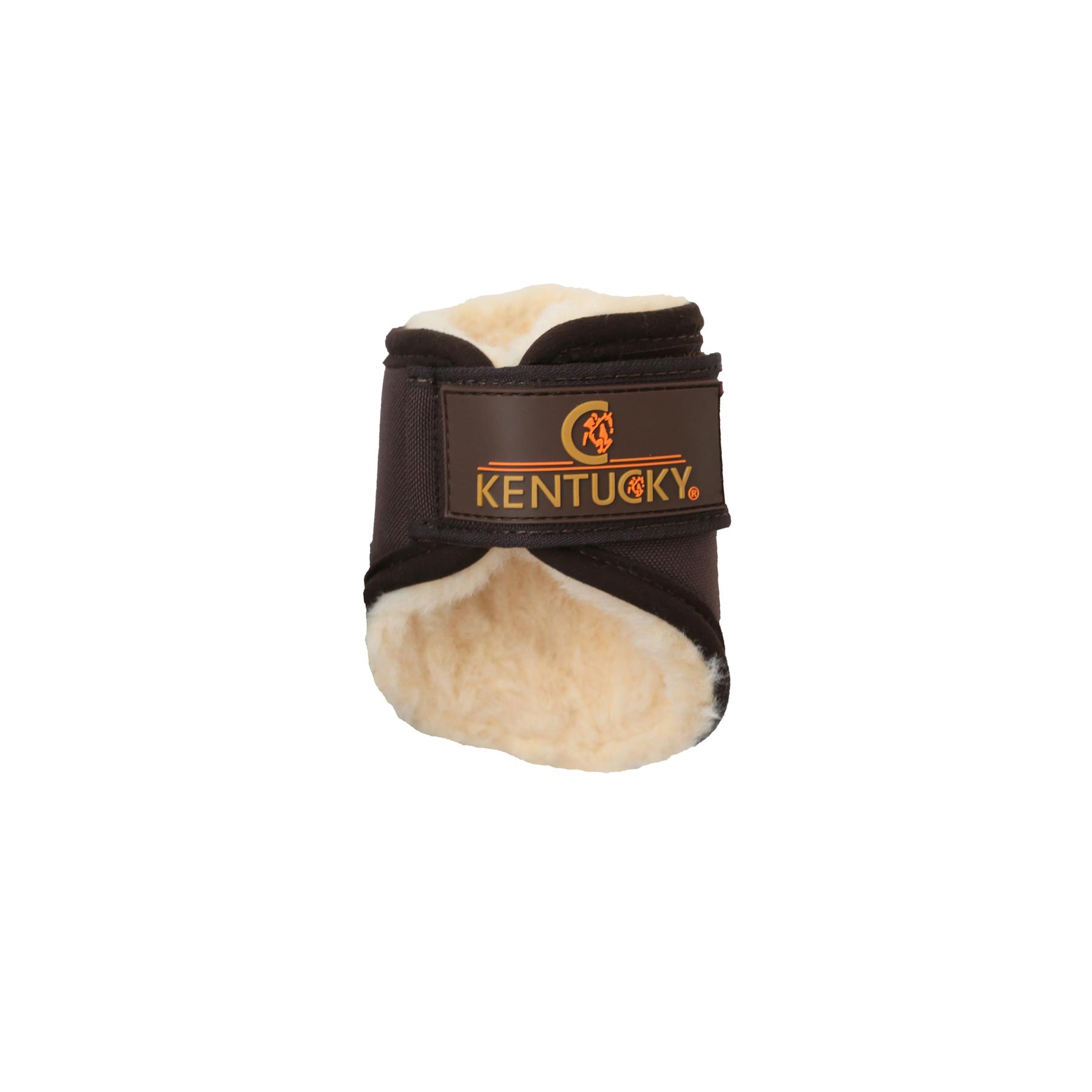 product/k/e/kentucky_42308-05-f.jpg