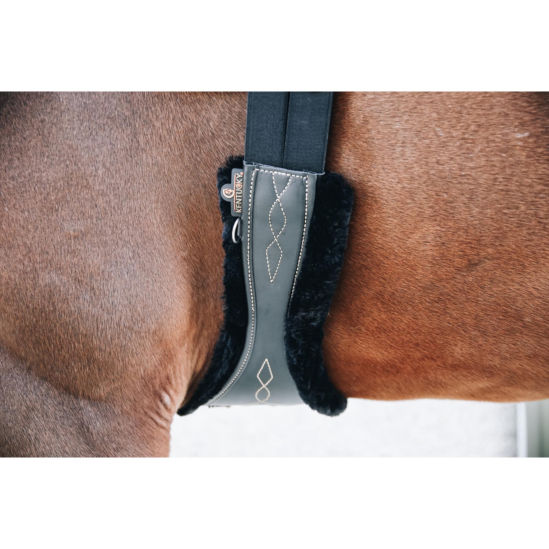 product/k/e/kentucky_42406-01-s-115_2.jpg
