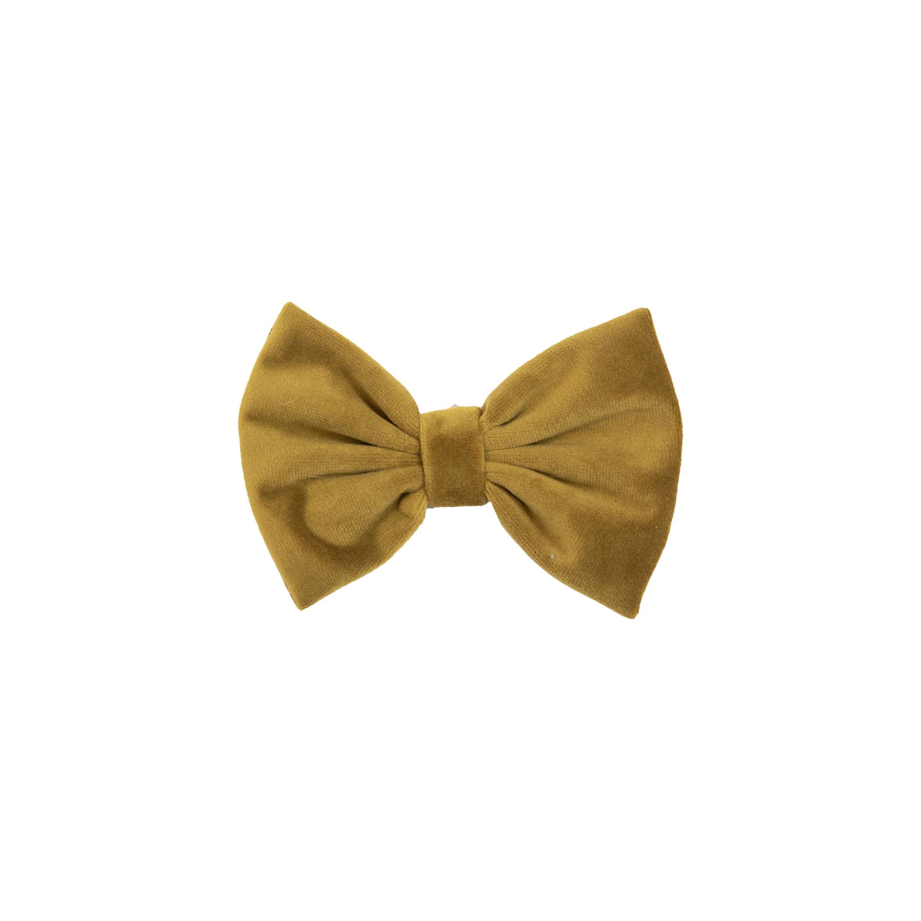 product/k/e/kentucky_42438-44-l.jpg