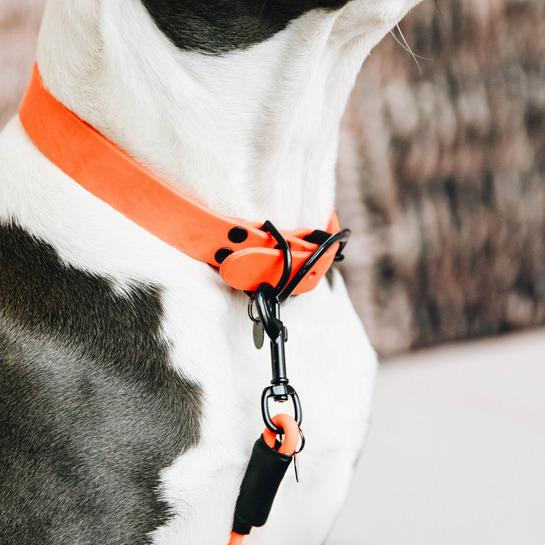 product/k/e/kentucky_42554-45-l_neon-orange_4.jpg