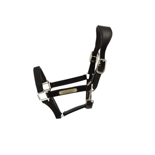 product/k/e/kentucky_42560-01-cob_black_1.jpg