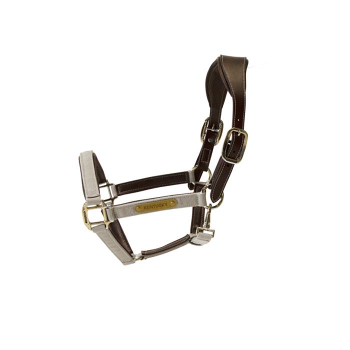 product/k/e/kentucky_42560-32-cob_beige_1.jpg