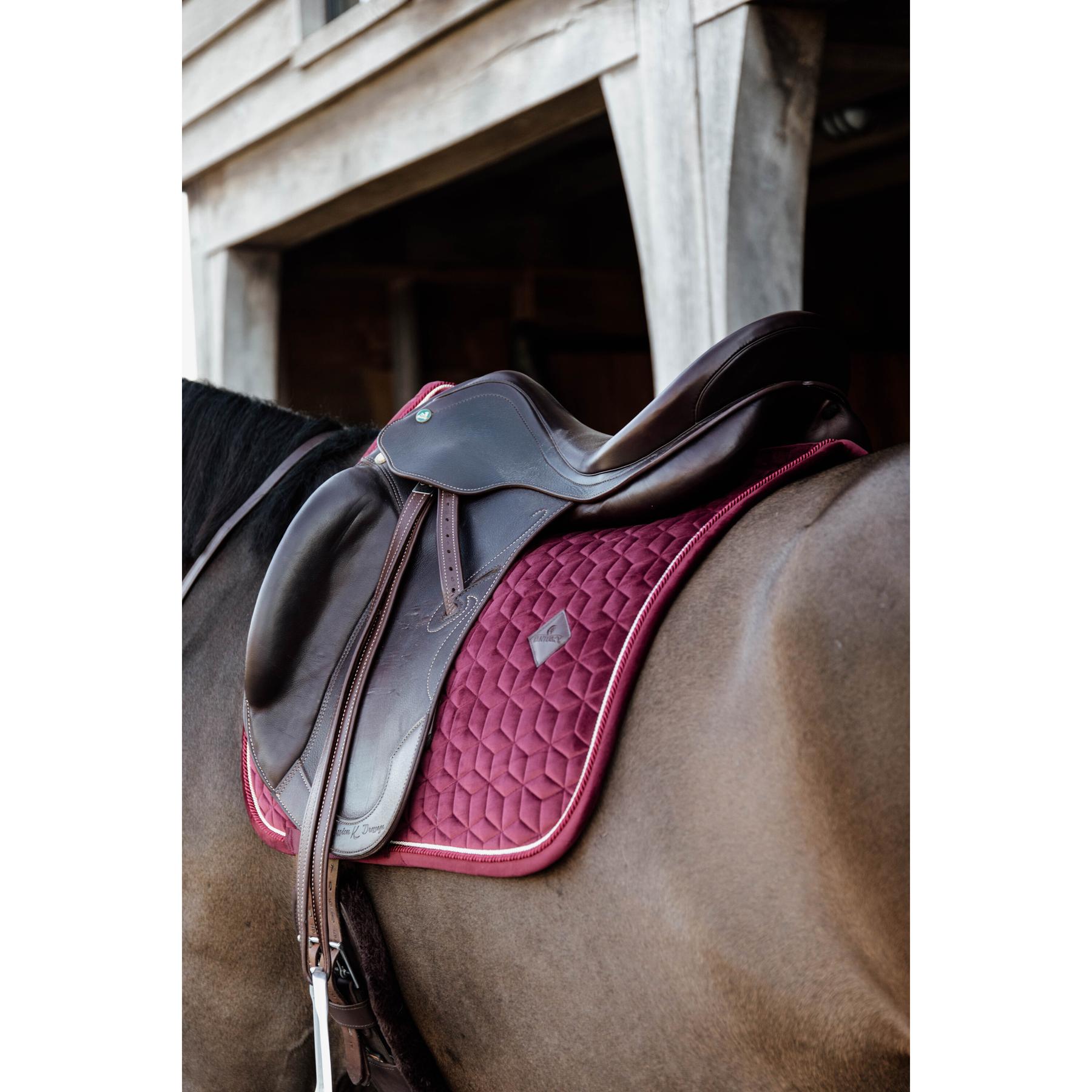 product/k/e/kentucky_42579-17-dr-cob_4.jpg