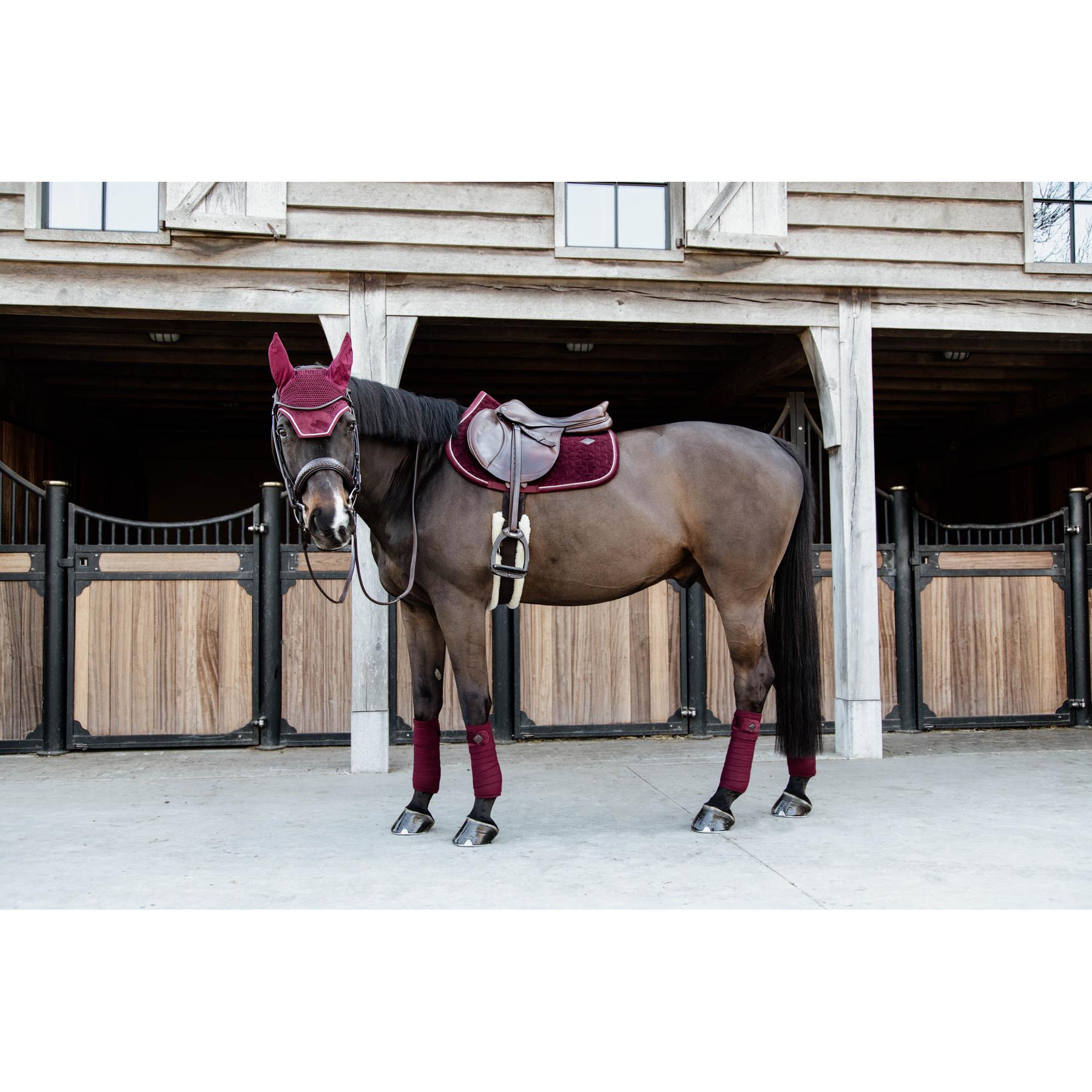 product/k/e/kentucky_42579-17-sj-cob_0.jpg
