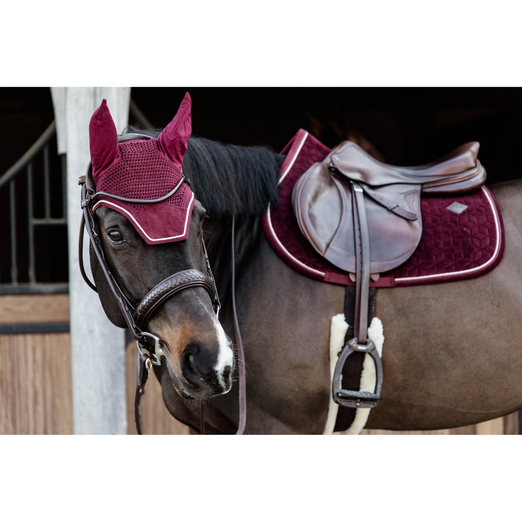 product/k/e/kentucky_42579-17-sj-cob_1.jpg