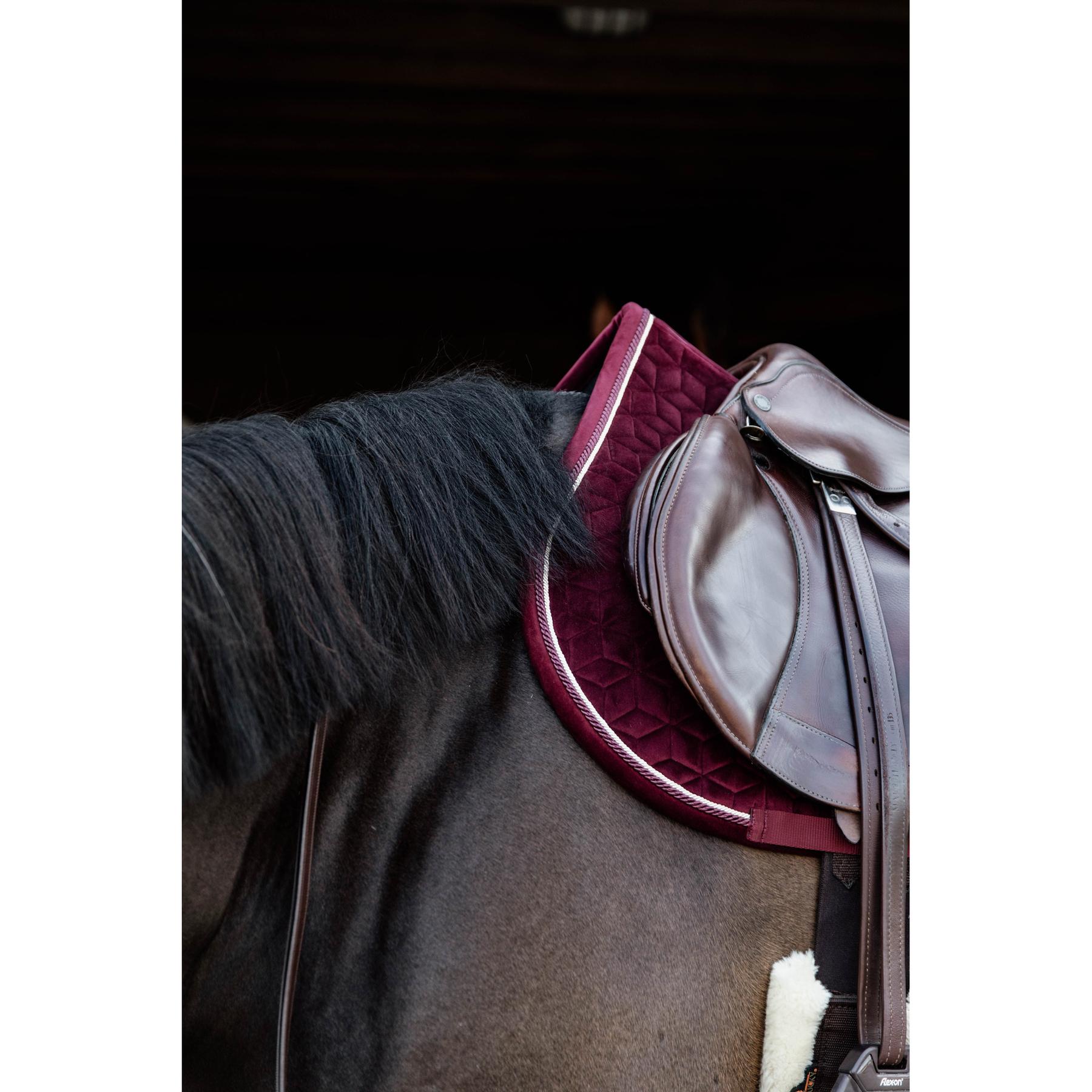 product/k/e/kentucky_42579-17-sj-cob_4.jpg