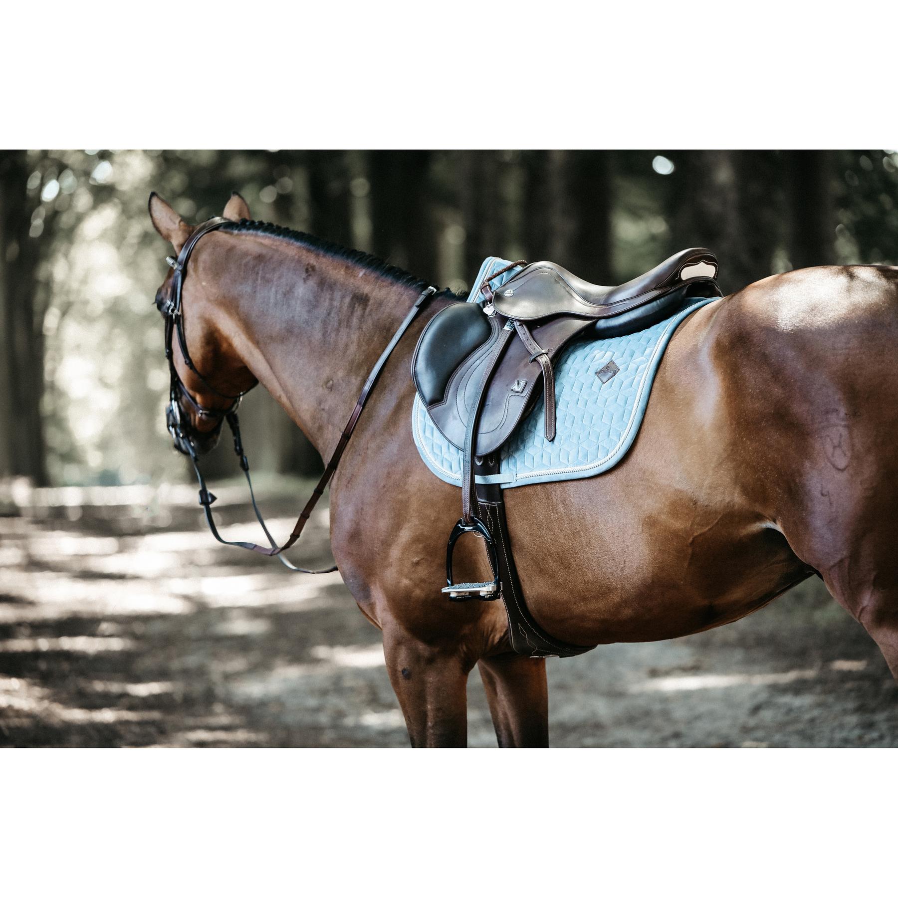 product/k/e/kentucky_42579-61-sj-cob_10.jpg