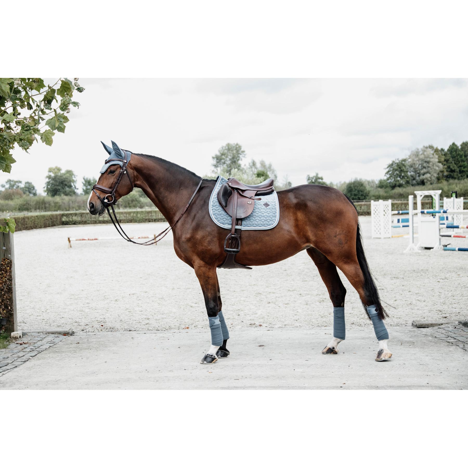 product/k/e/kentucky_42579-61-sj-cob_2.jpg