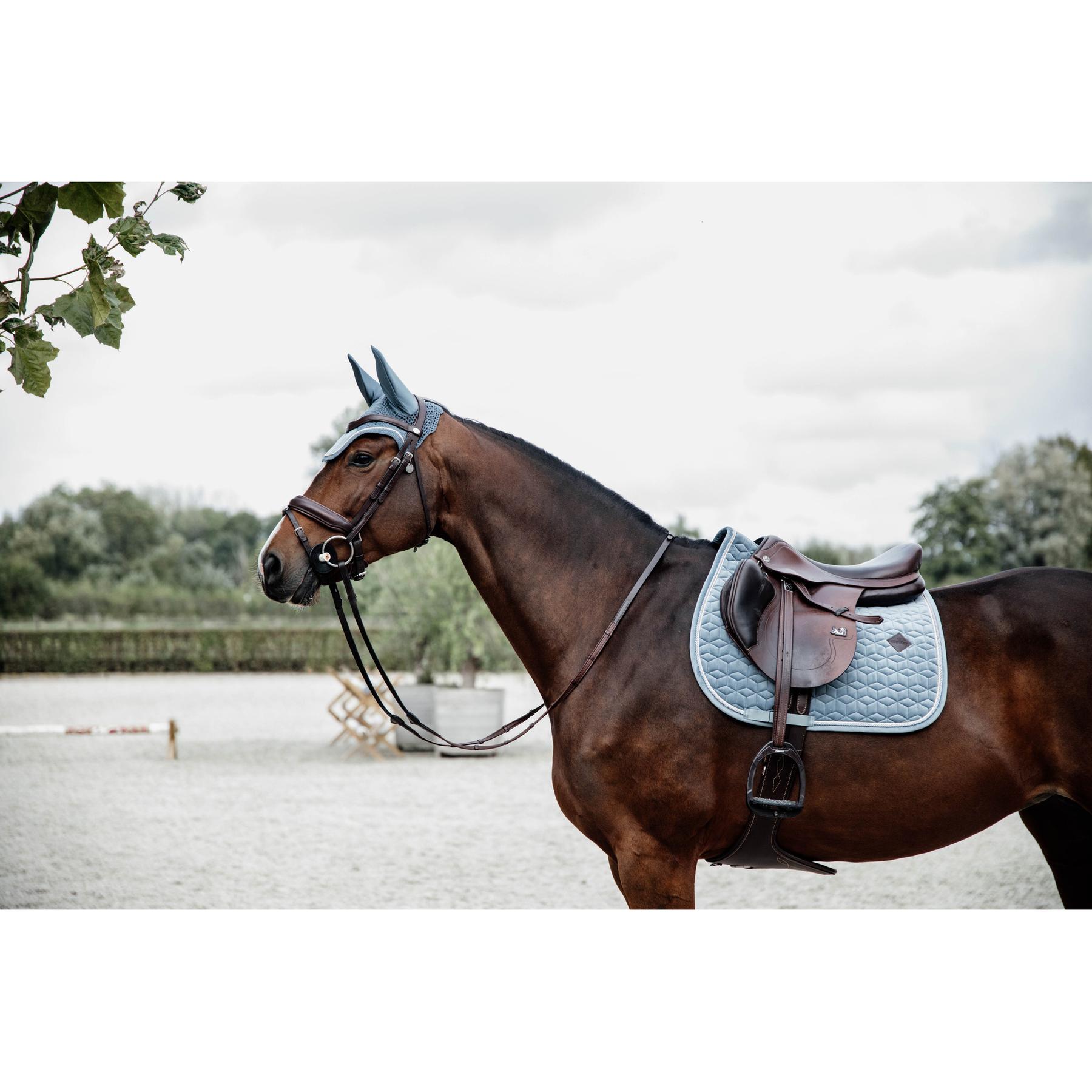 product/k/e/kentucky_42579-61-sj-cob_5.jpg