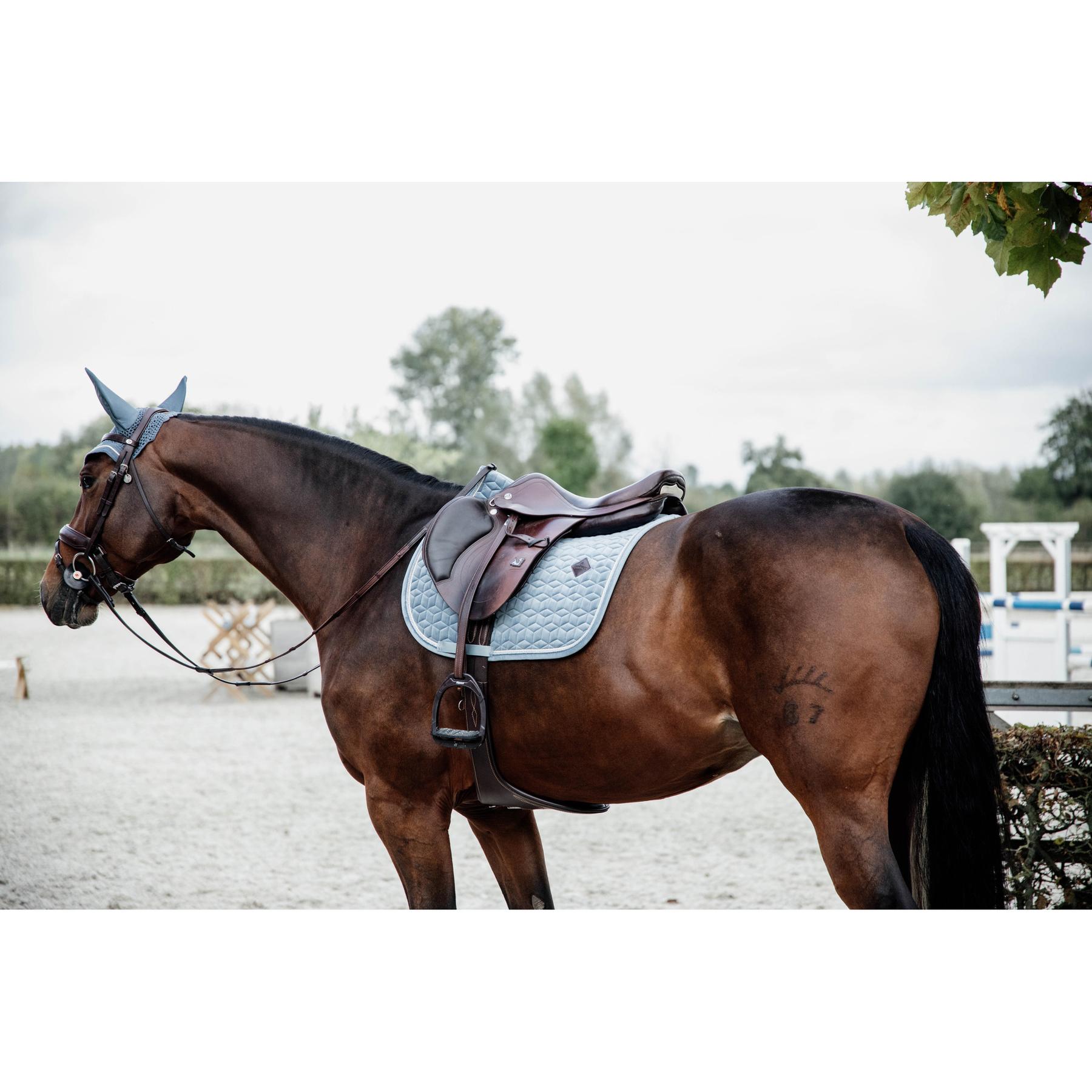 product/k/e/kentucky_42579-61-sj-cob_8.jpg
