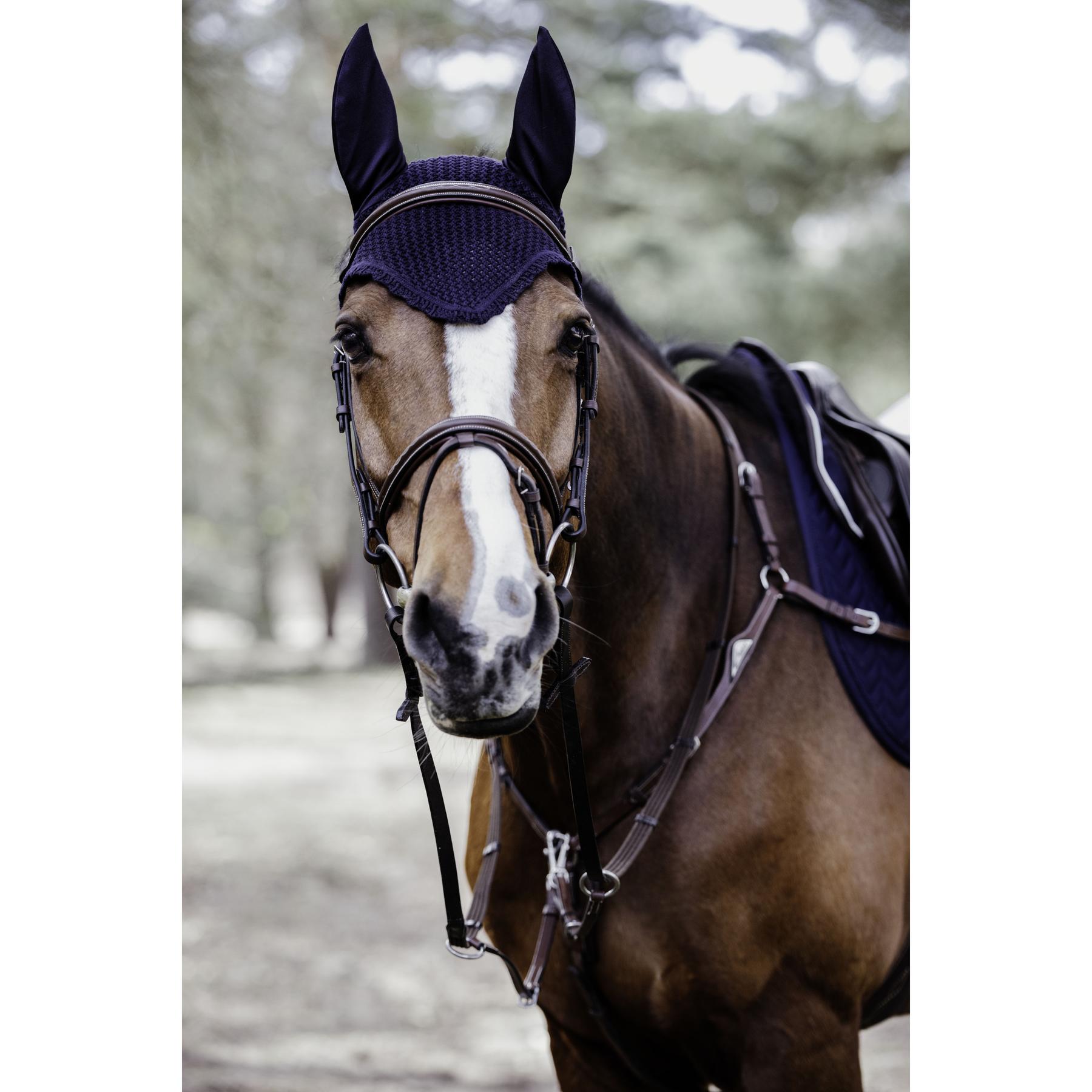 product/k/e/kentucky_42605-33-f_2.jpg