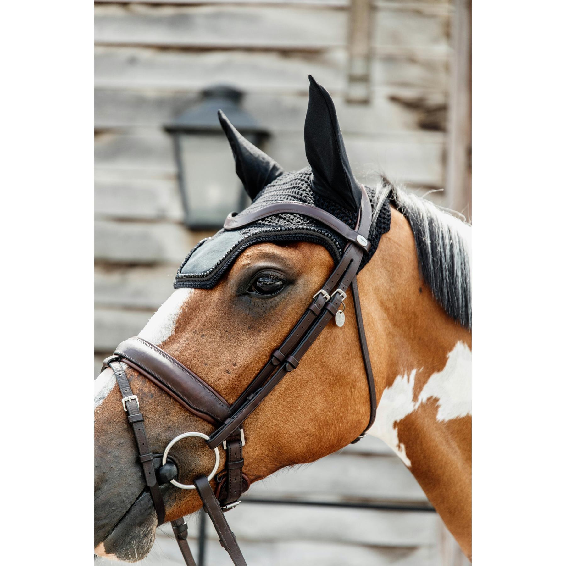 product/k/e/kentucky_42629-01_3.jpg