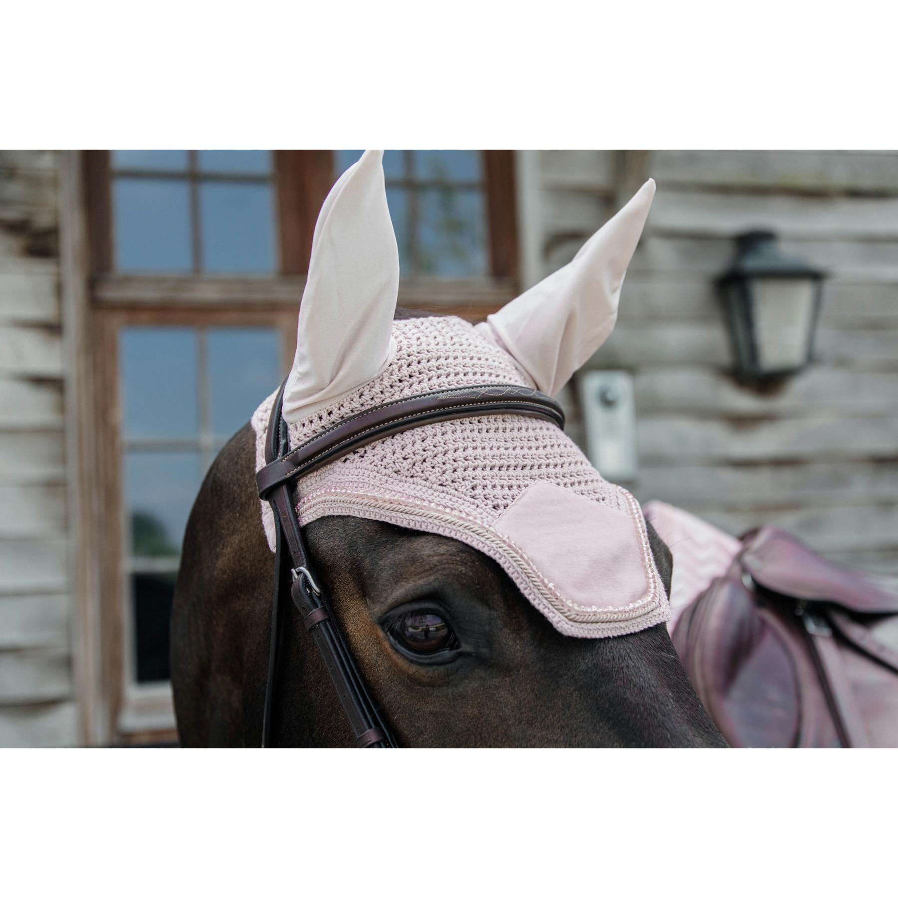 product/k/e/kentucky_42629-50_2.jpg