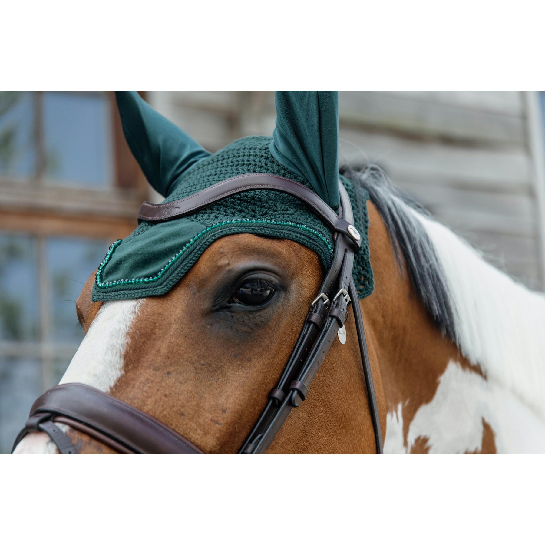 product/k/e/kentucky_42629-74_2.jpg