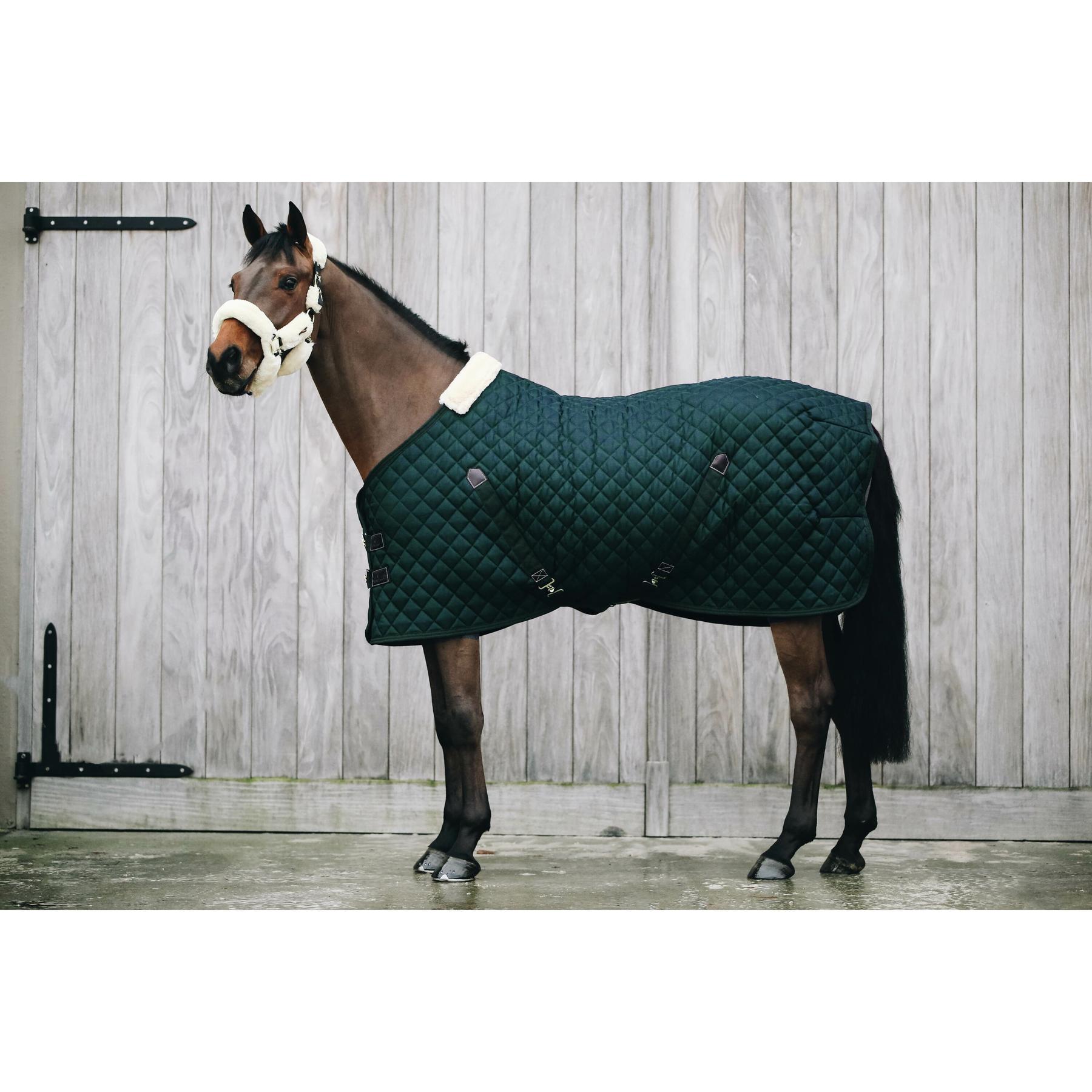product/k/e/kentucky_52102-73_2.jpg