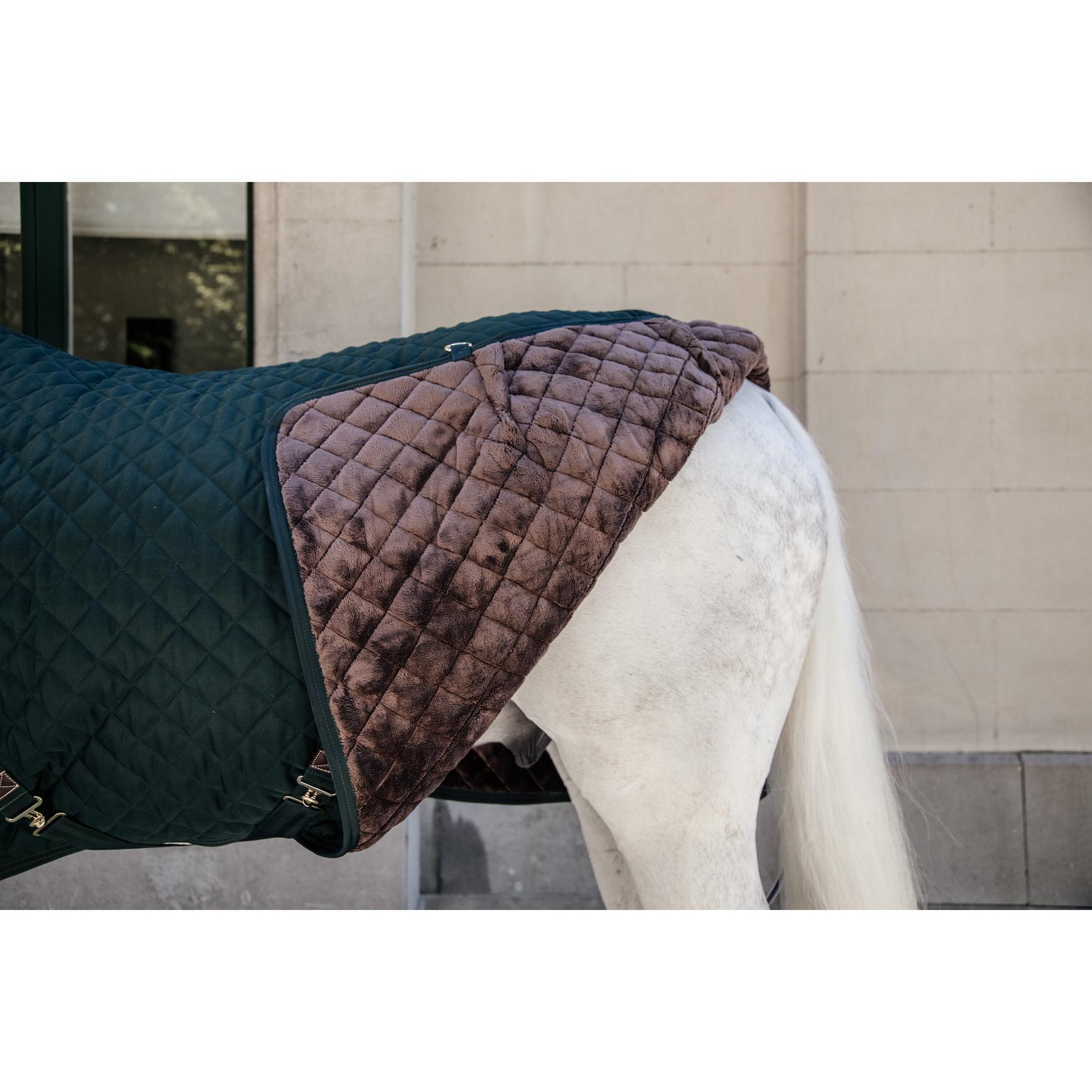 product/k/e/kentucky_52102-73_3.jpg