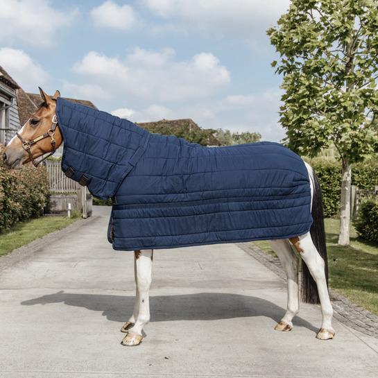 product/k/e/kentucky_52216-03-130_navy_2.jpg