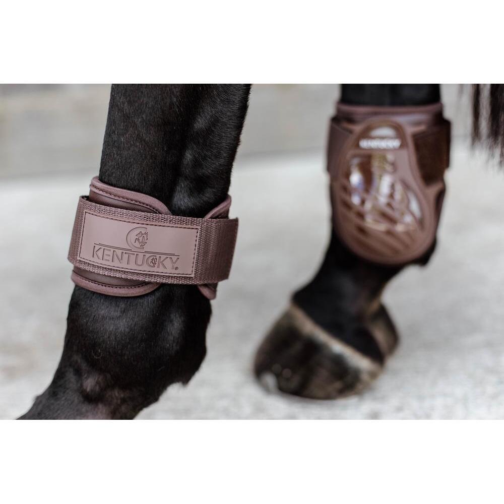 product/k/e/kentucky_88201-05-xs_5.jpg